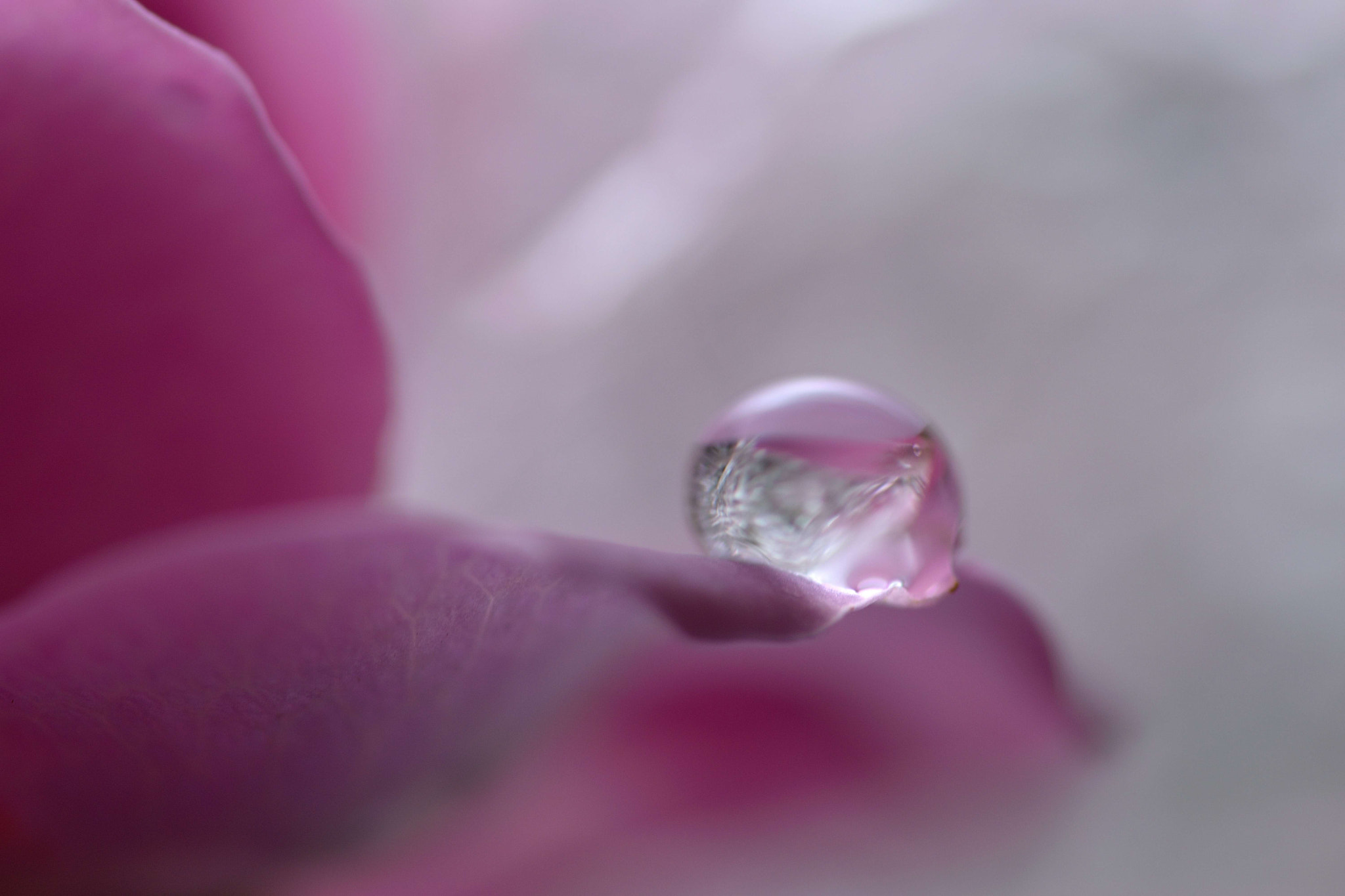 Sigma 105mm F2.8 EX DG OS HSM sample photo. Crystal droplet photography