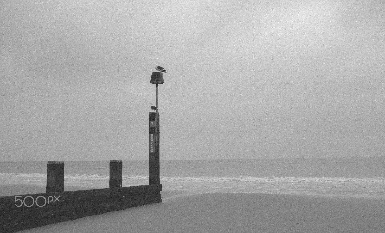 Sigma 18-250mm F3.5-6.3 DC OS HSM sample photo. Winter by the seaside photography