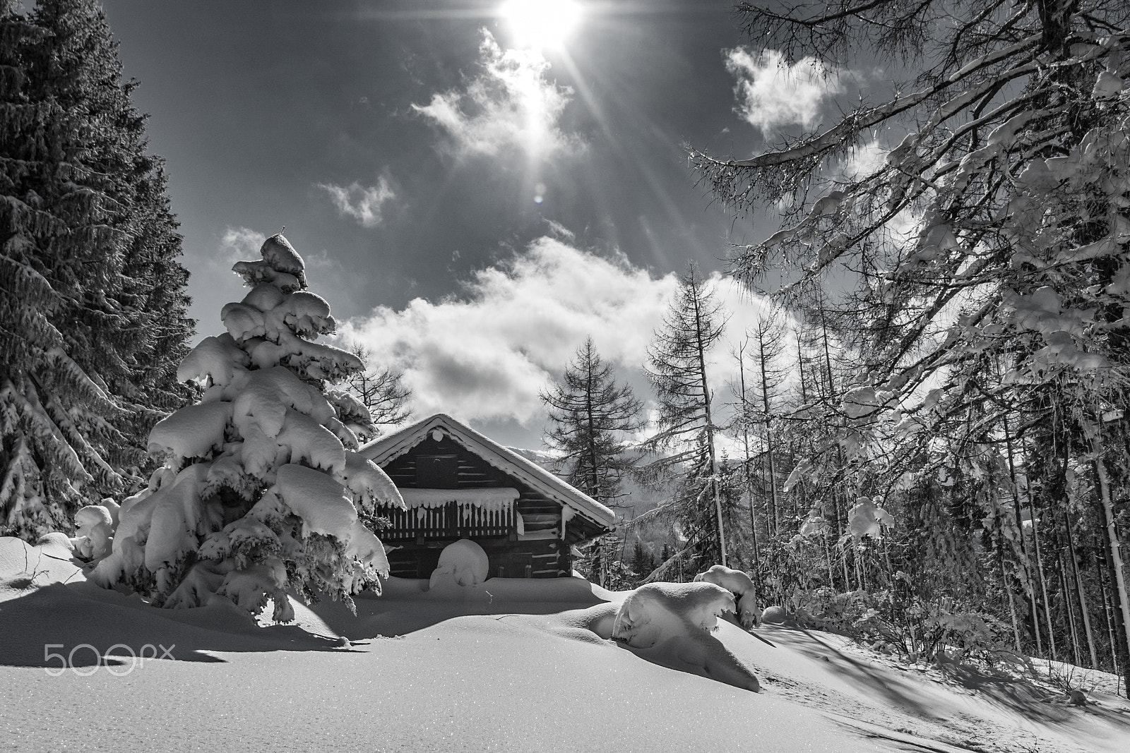 Sony Alpha DSLR-A700 sample photo. Winterday photography