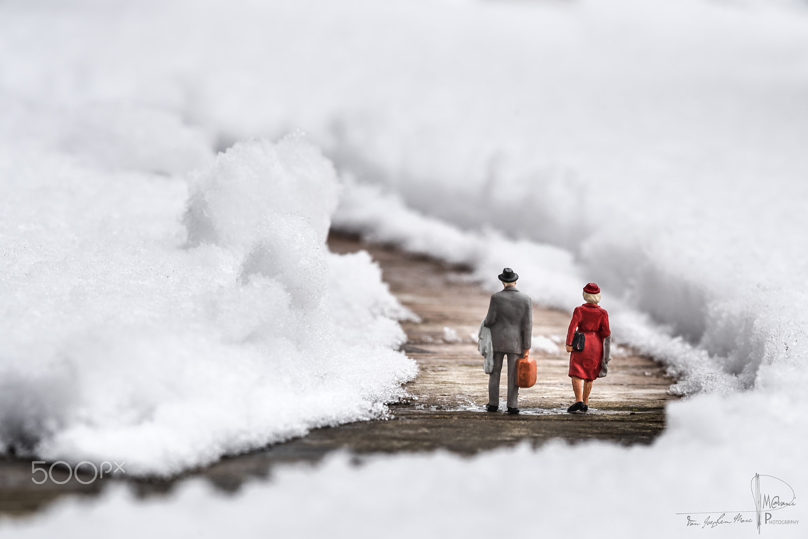 Nikon D750 + Sigma 105mm F2.8 EX DG Macro sample photo. Between snowwalls ! photography