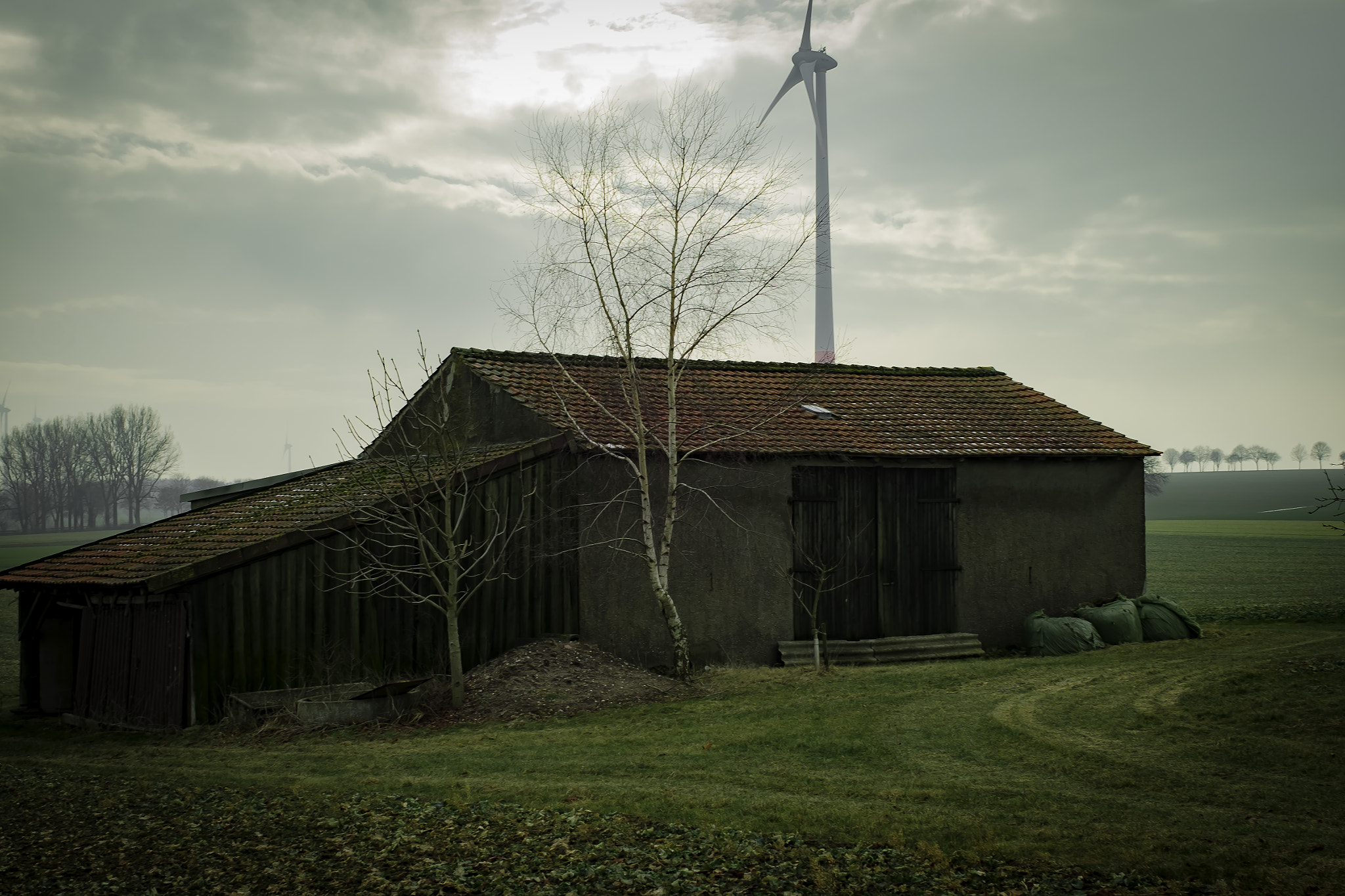 ZEISS Touit 32mm F1.8 sample photo. Barnwheel photography