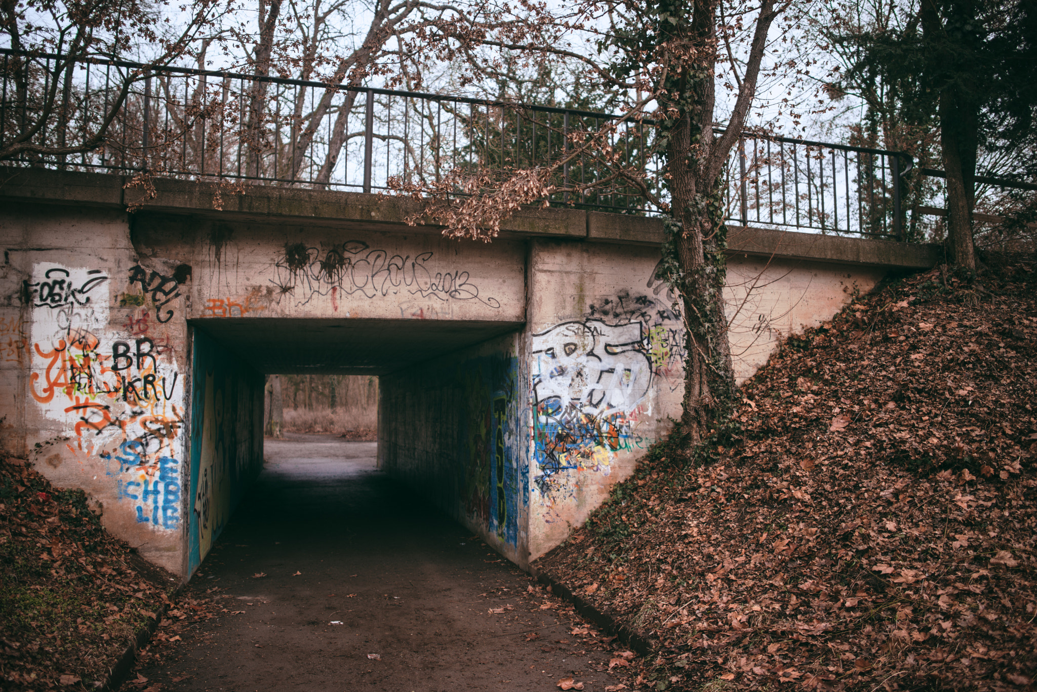 Nikon D800 sample photo. Tübingen winter ii photography