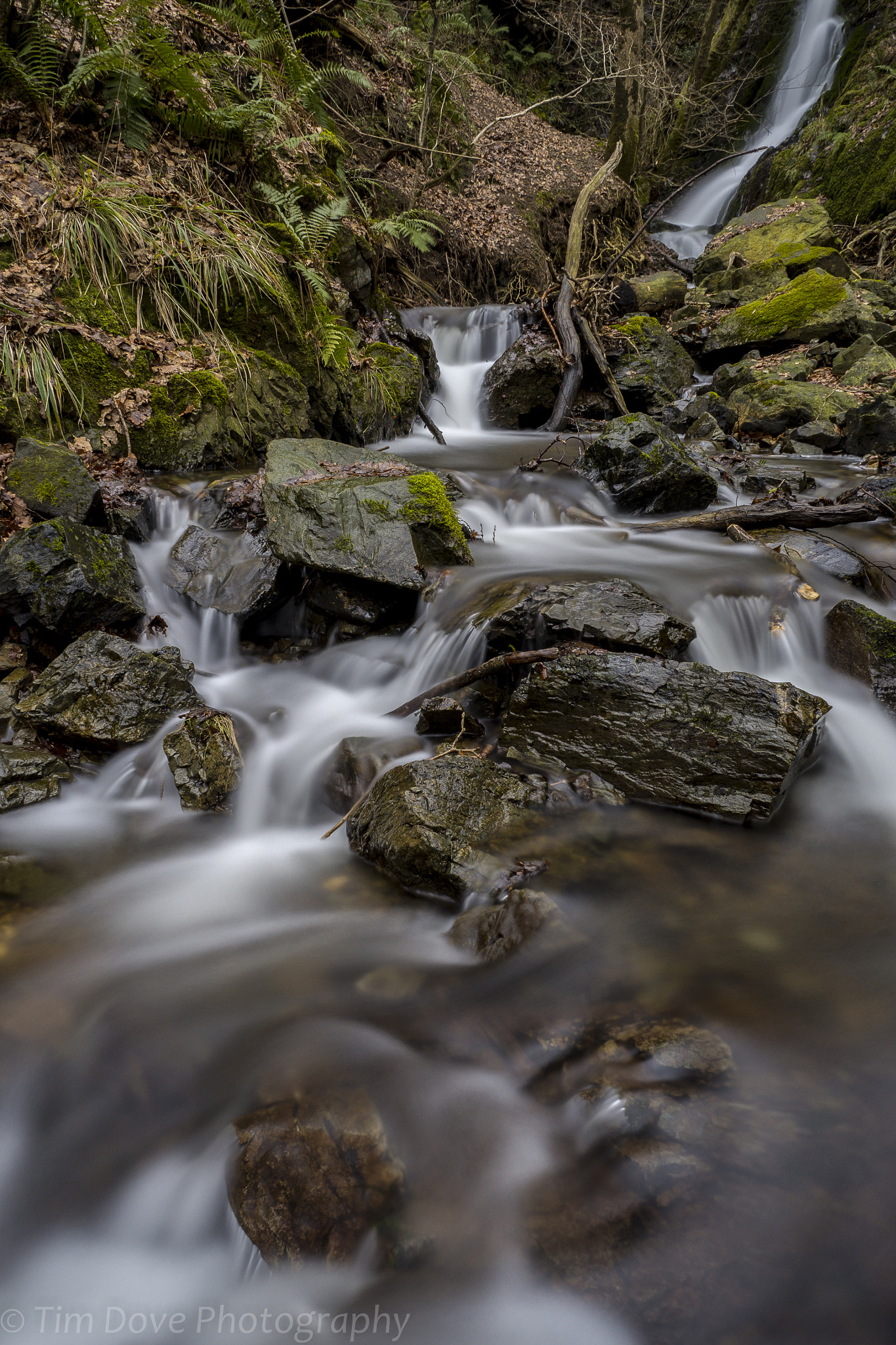 Panasonic Lumix G X Vario 12-35mm F2.8 ASPH Power OIS sample photo. Tom gill falls photography