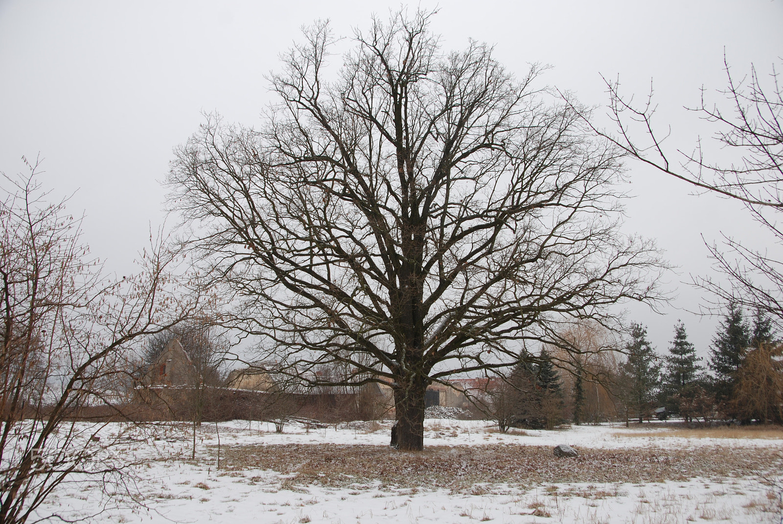 Nikon D80 sample photo. Miejsce mocy słupice pod radunią photography