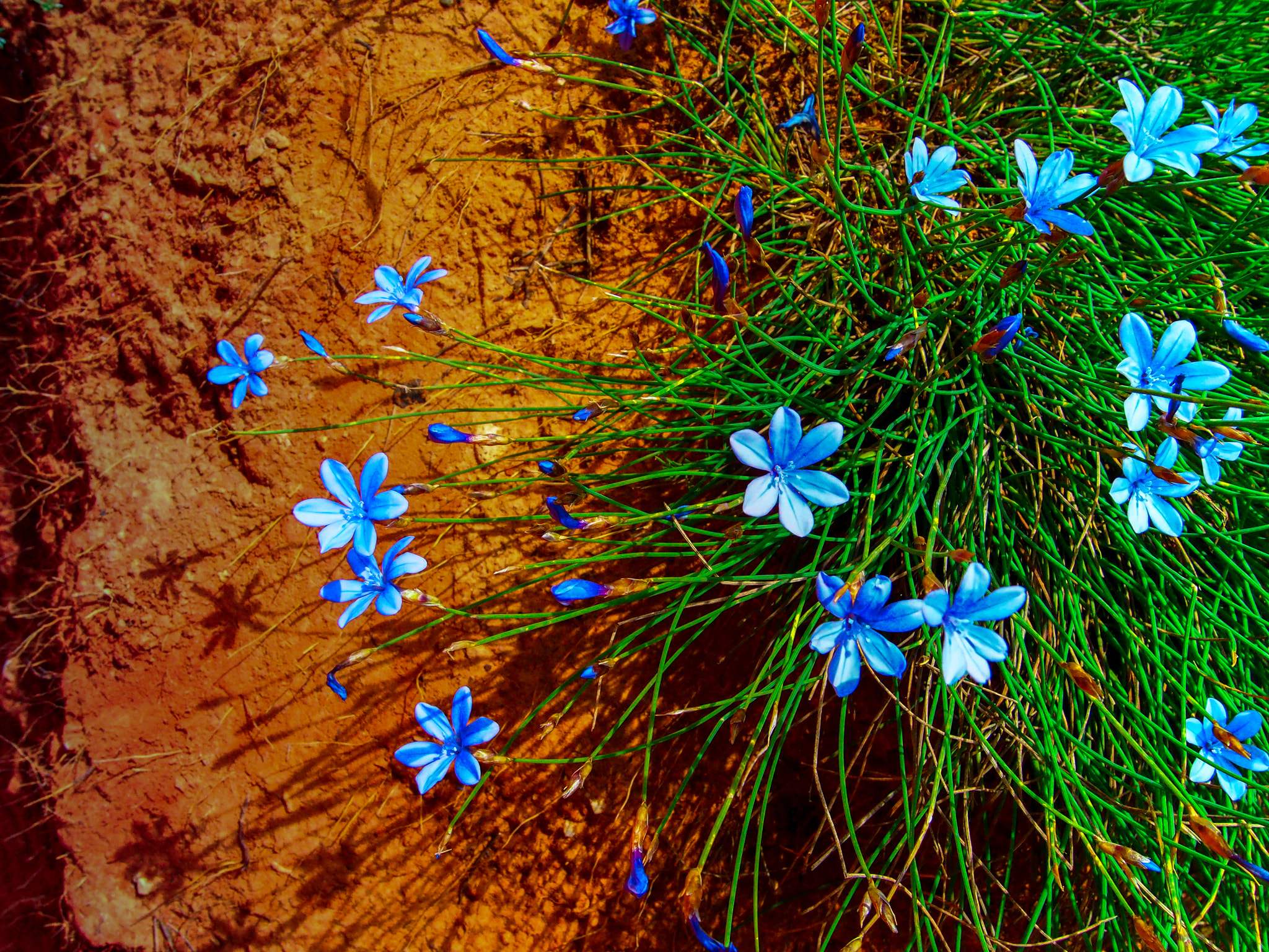 Olympus PEN E-P5 sample photo. Lubéron regional park photography