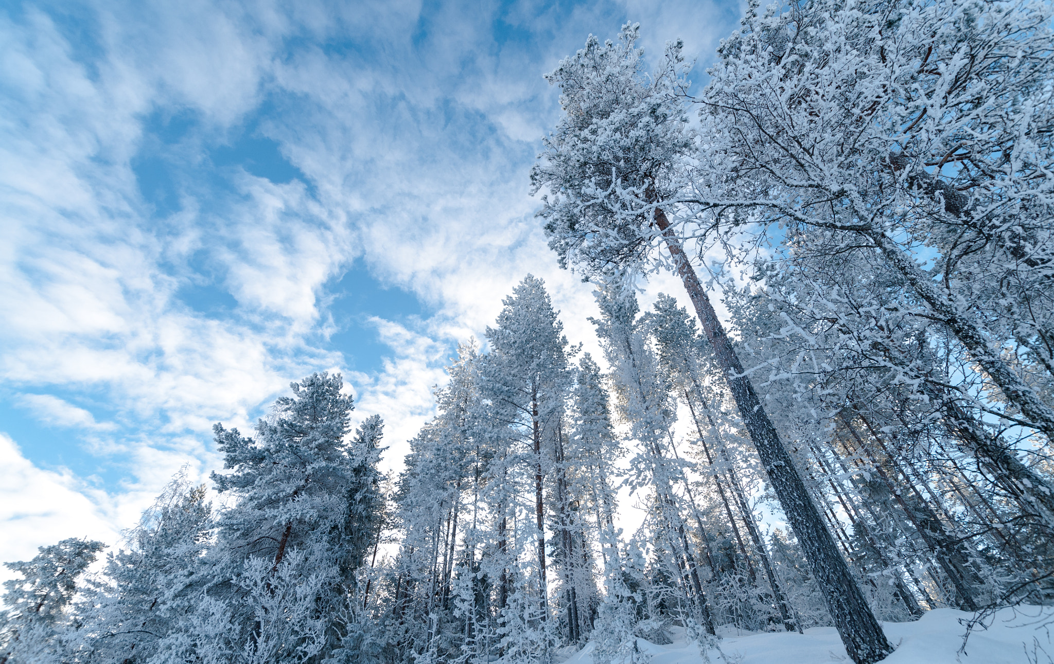 Nikon D300 + Sigma 10-20mm F3.5 EX DC HSM sample photo. Cold scene photography