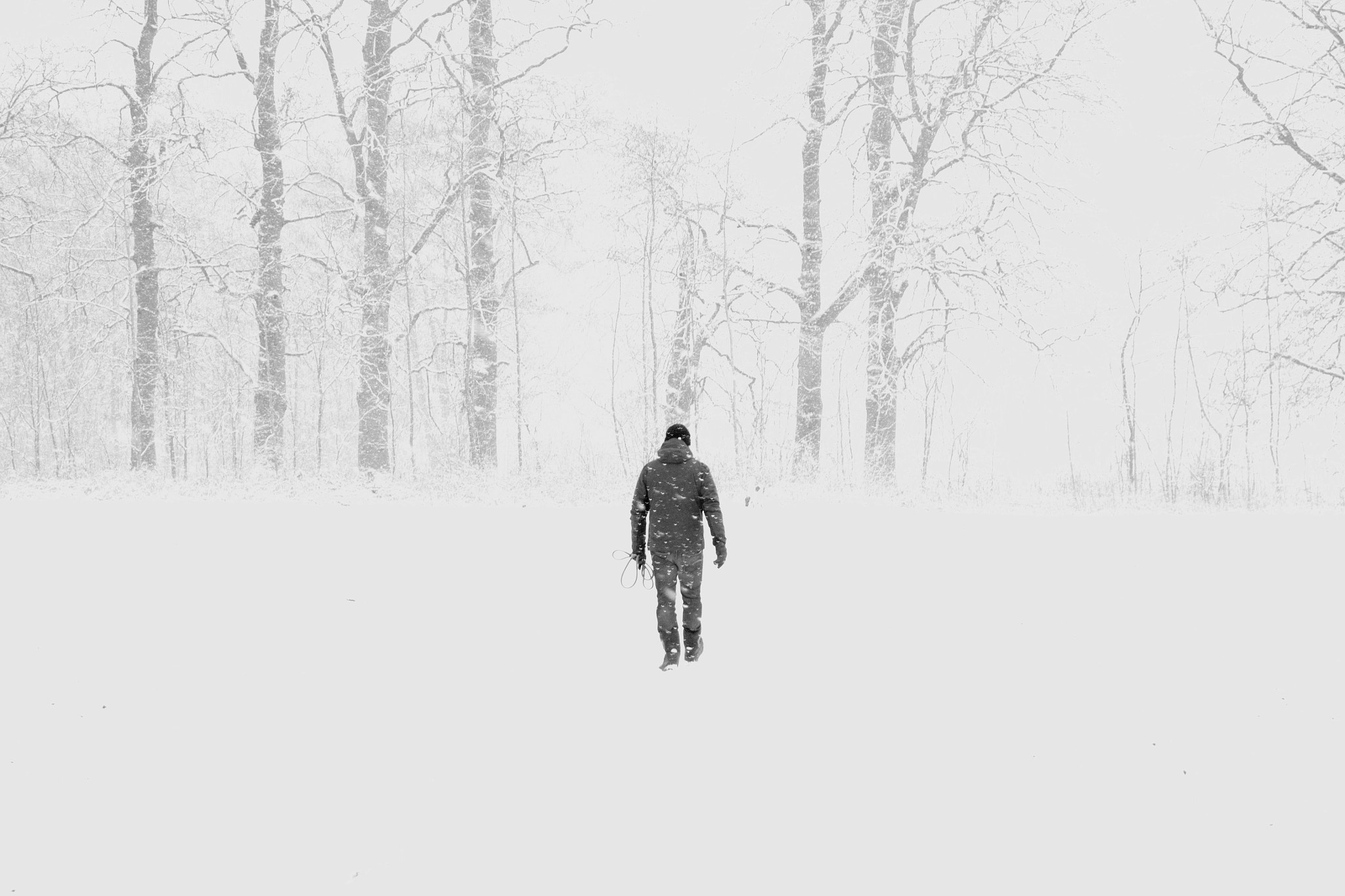 Olympus OM-D E-M1 sample photo. Lost in the snow blizzard photography