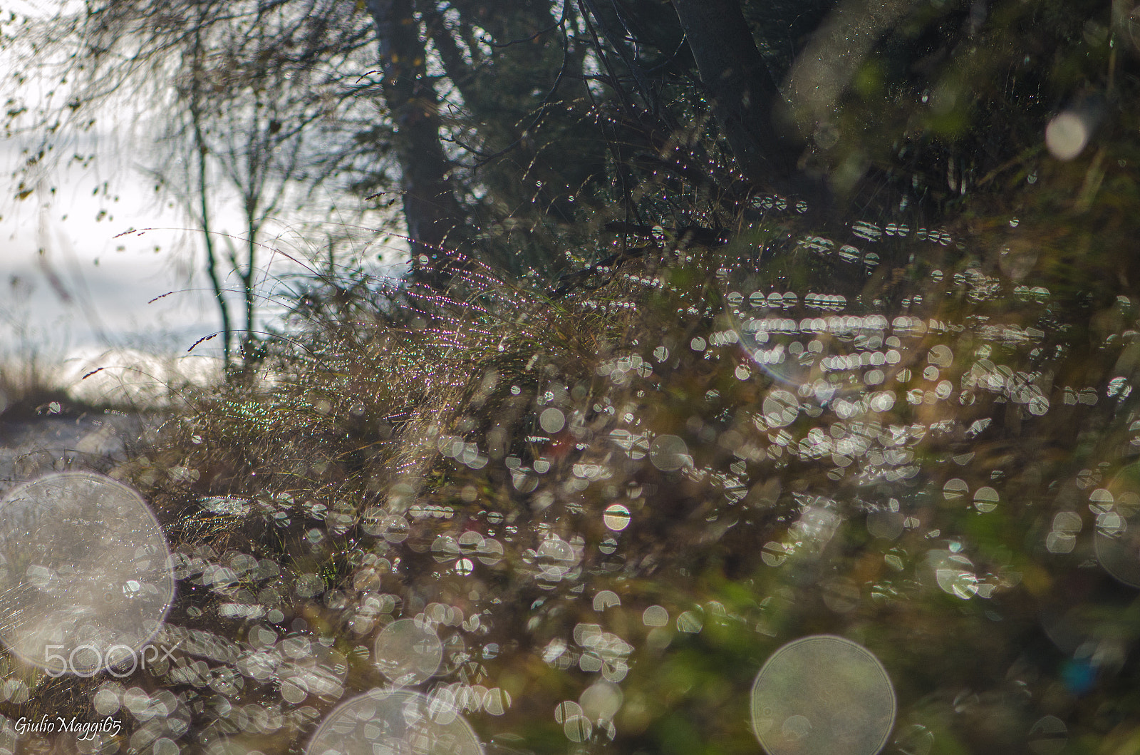 Nikon AF-S Micro-Nikkor 105mm F2.8G IF-ED VR sample photo. Lanterne photography
