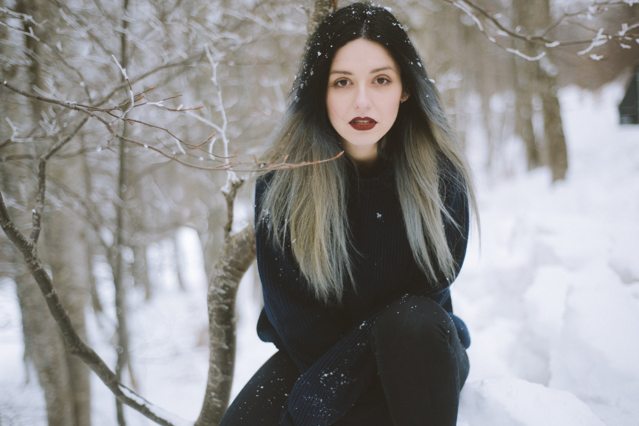 Nikon D810 + Nikon AF Nikkor 50mm F1.8D sample photo. Lady of the winter. photography