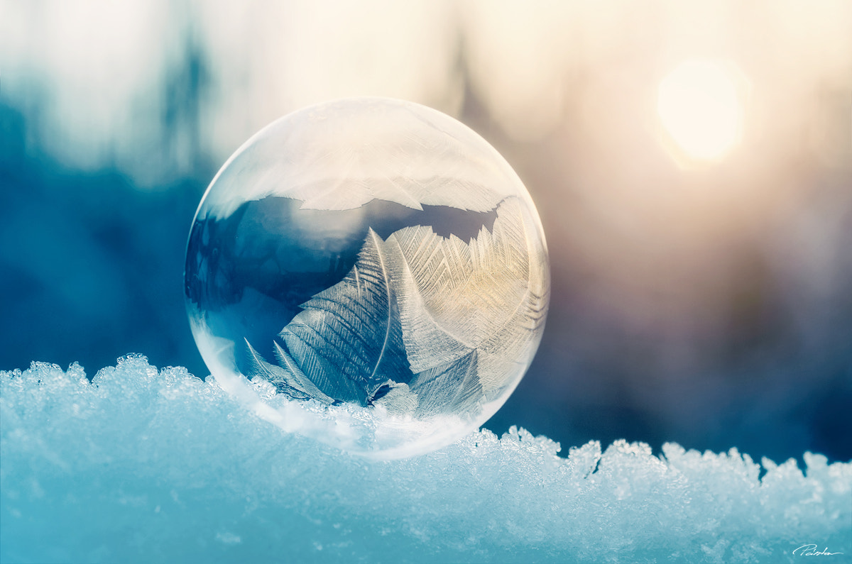 Nikon AF-S Micro-Nikkor 105mm F2.8G IF-ED VR sample photo. Frozen bubble photography