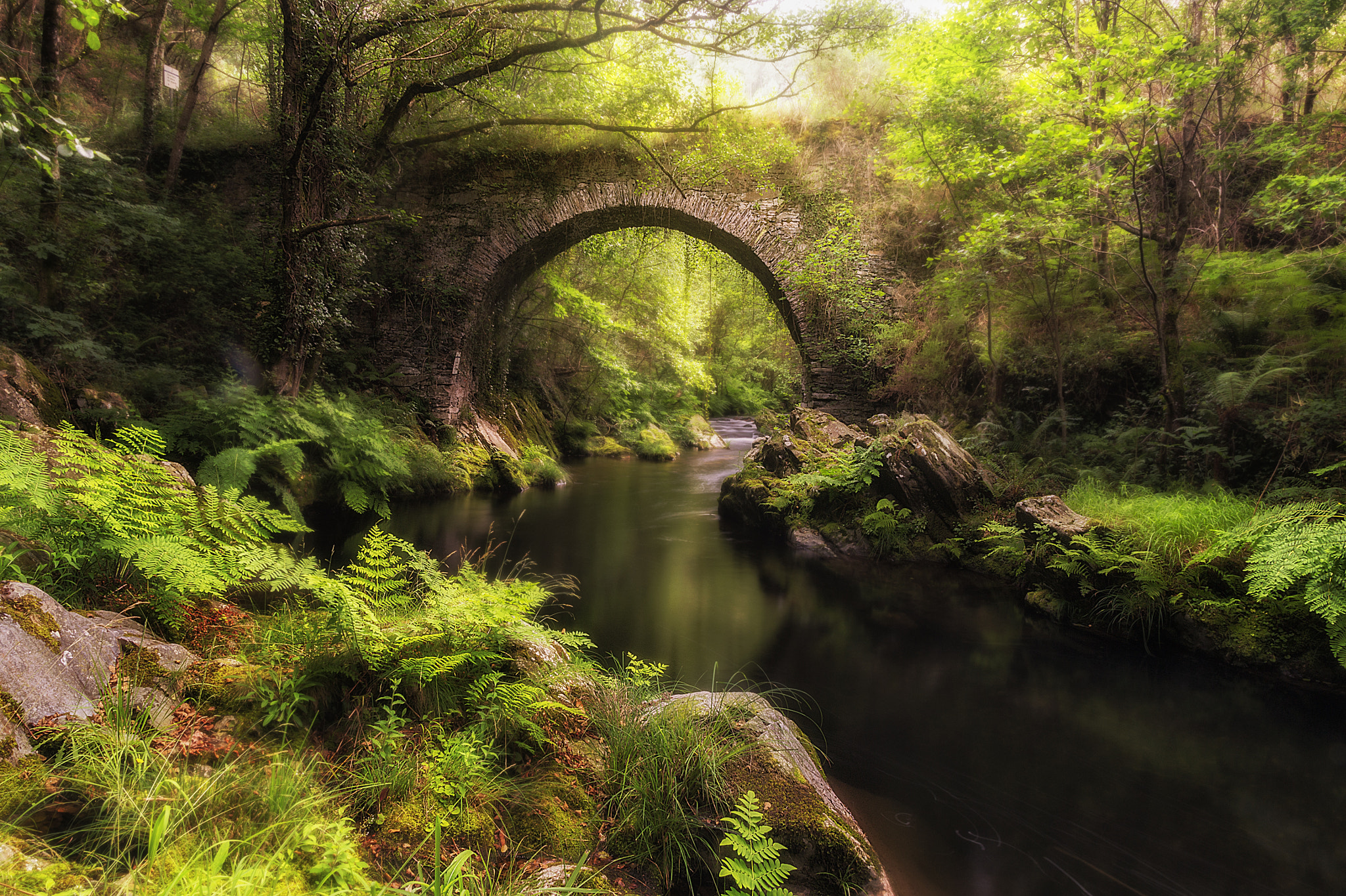 Sigma 17-50mm F2.8 EX DC OS HSM sample photo. Polea bridge photography