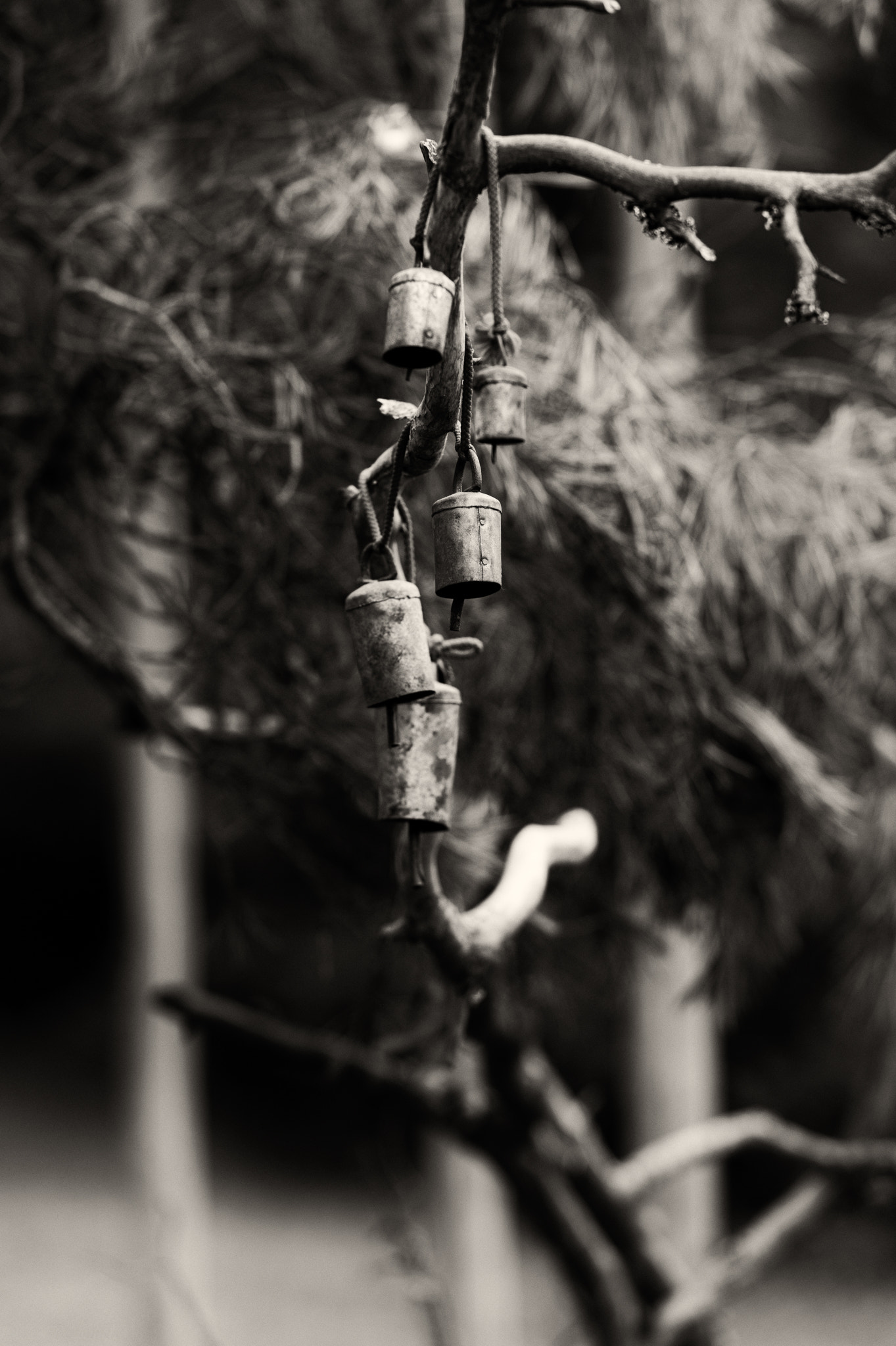 Nikon Df sample photo. Yoga bells photography