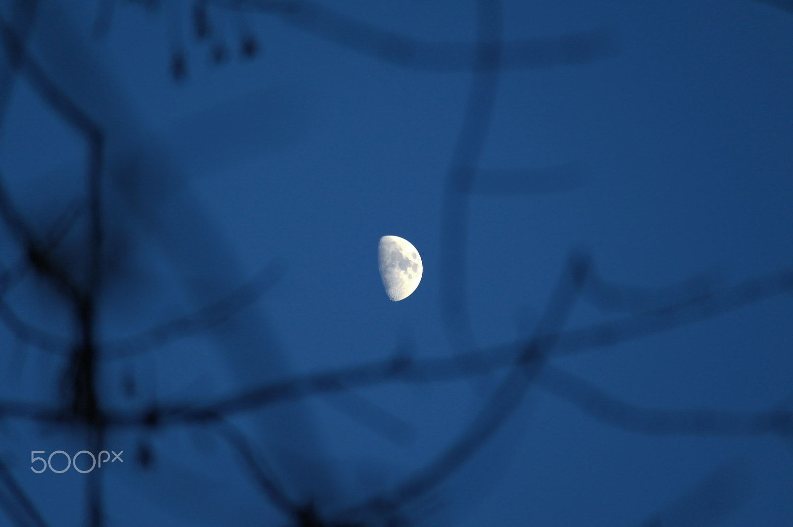 Samsung NX100 sample photo. Moon in the sky photography