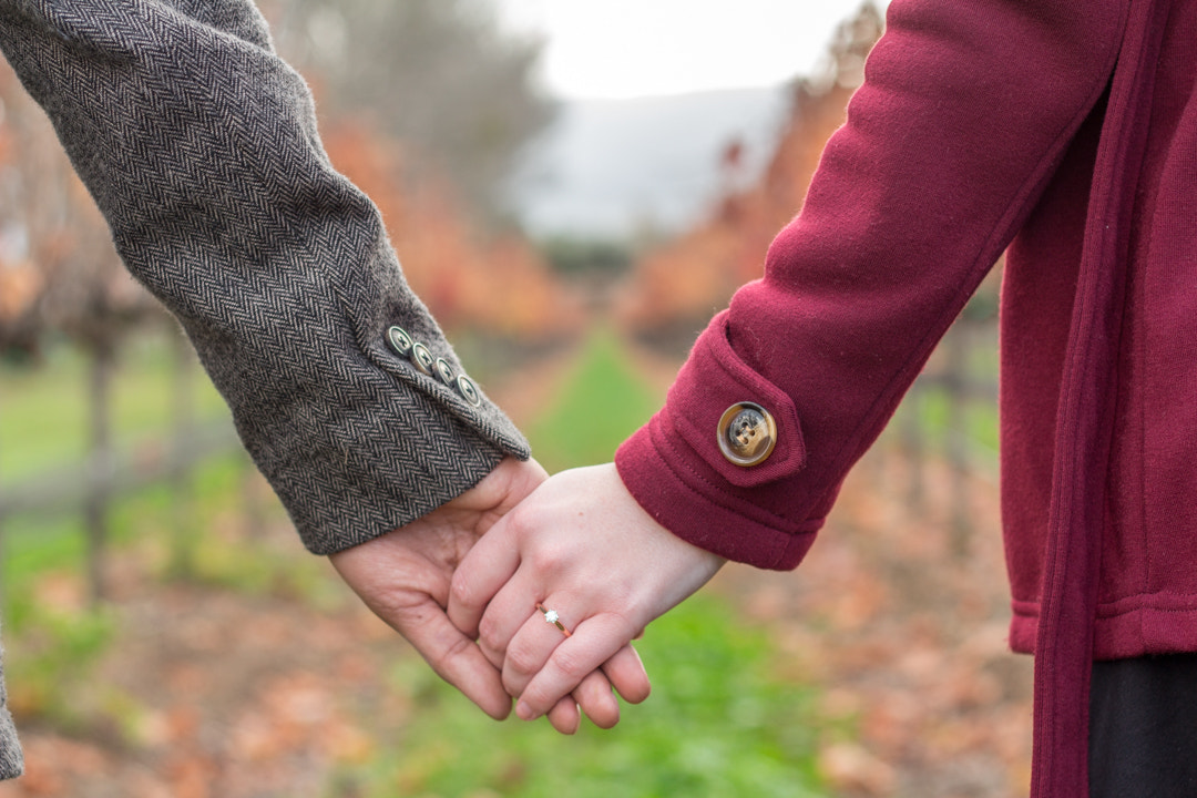 Canon EOS 650D (EOS Rebel T4i / EOS Kiss X6i) sample photo. Walking together. photography