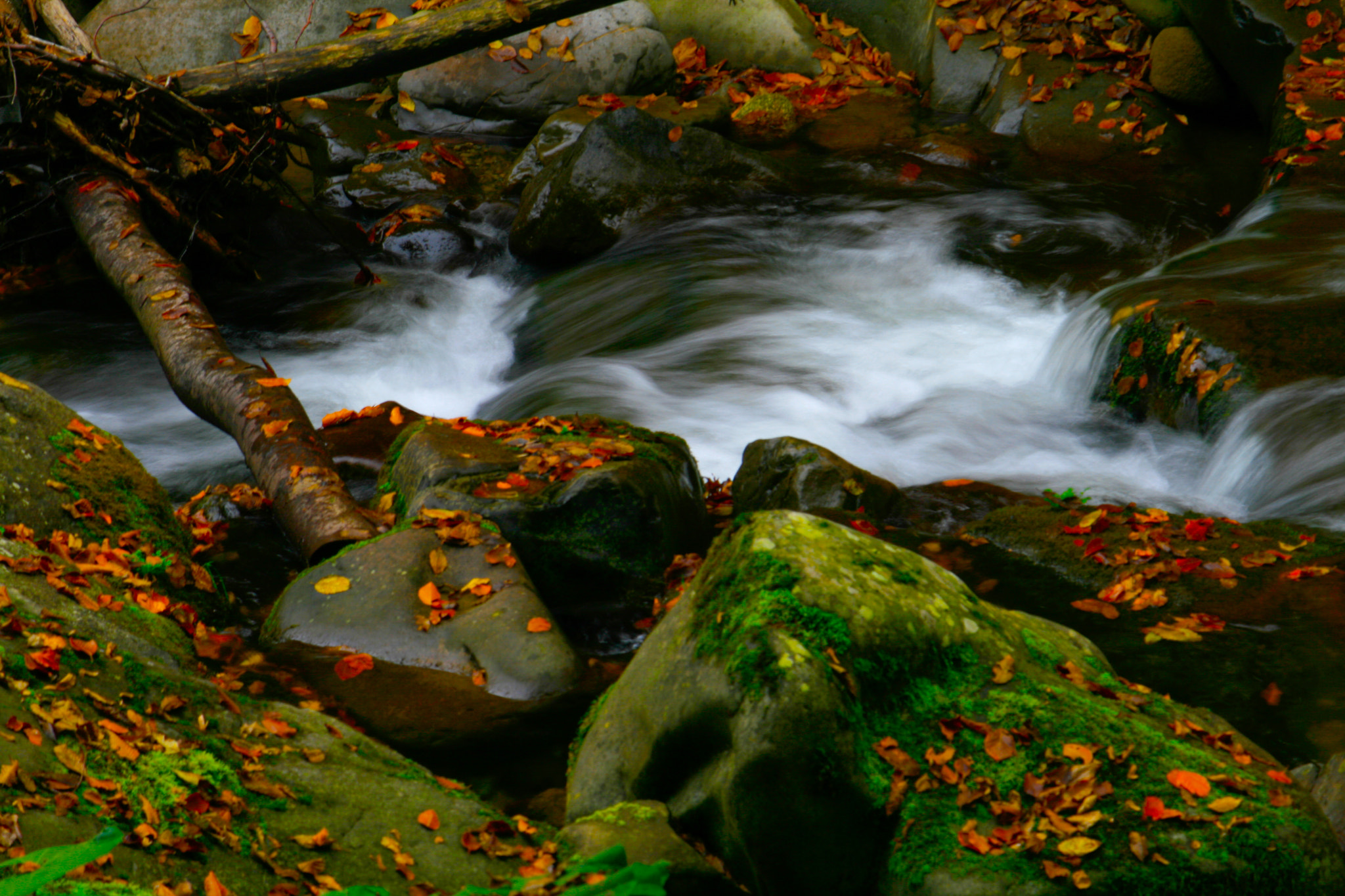 Canon EF-S 55-250mm F4-5.6 IS sample photo. Brooklet photography