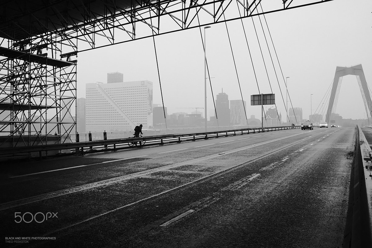 Sigma 17-70mm F2.8-4 DC Macro OS HSM sample photo. Rotterdam now photography