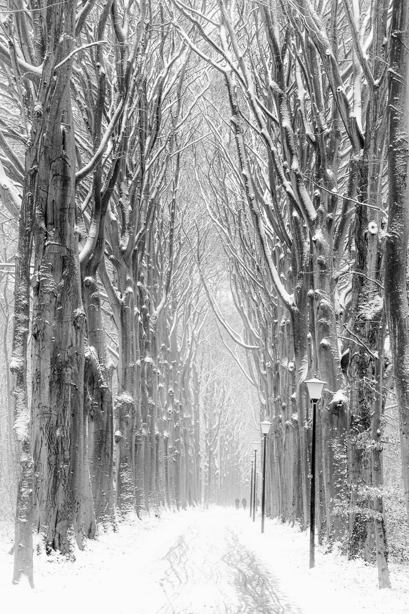 Canon EF-S 55-250mm F4-5.6 IS STM sample photo. Winter lane photography
