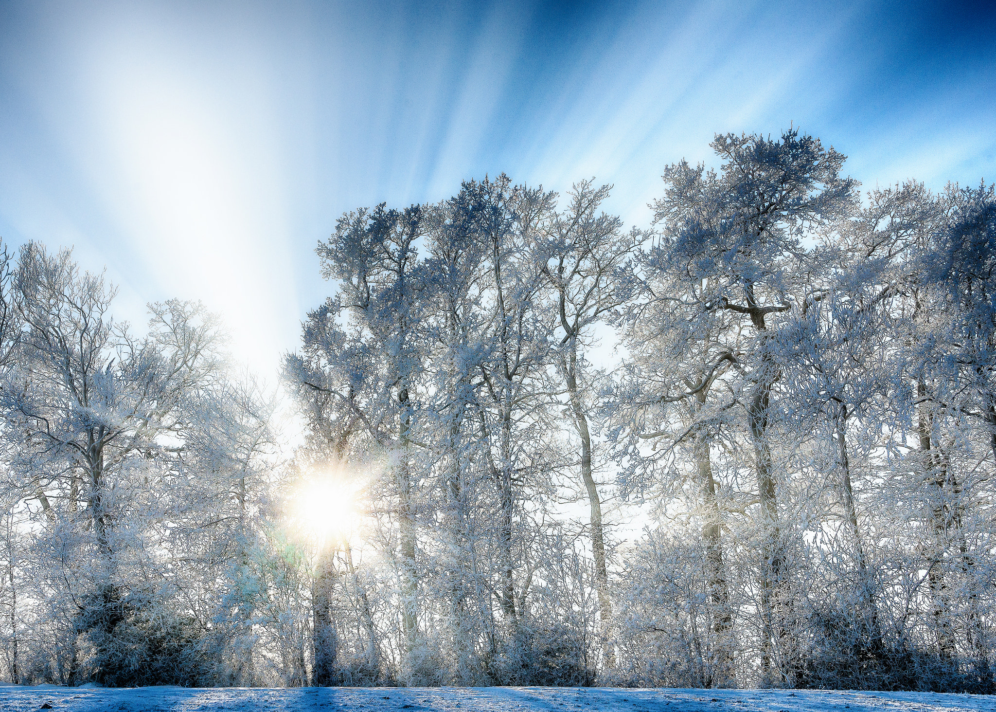 Sony a99 II sample photo. Winter sun photography