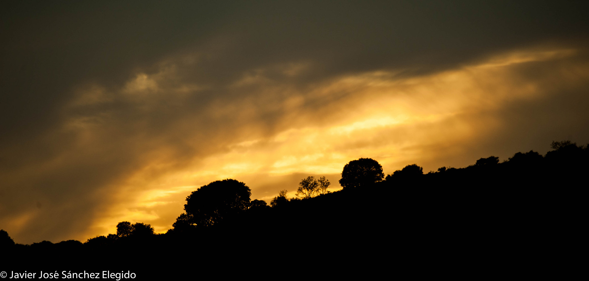 Nikon D700 sample photo. El dorado photography