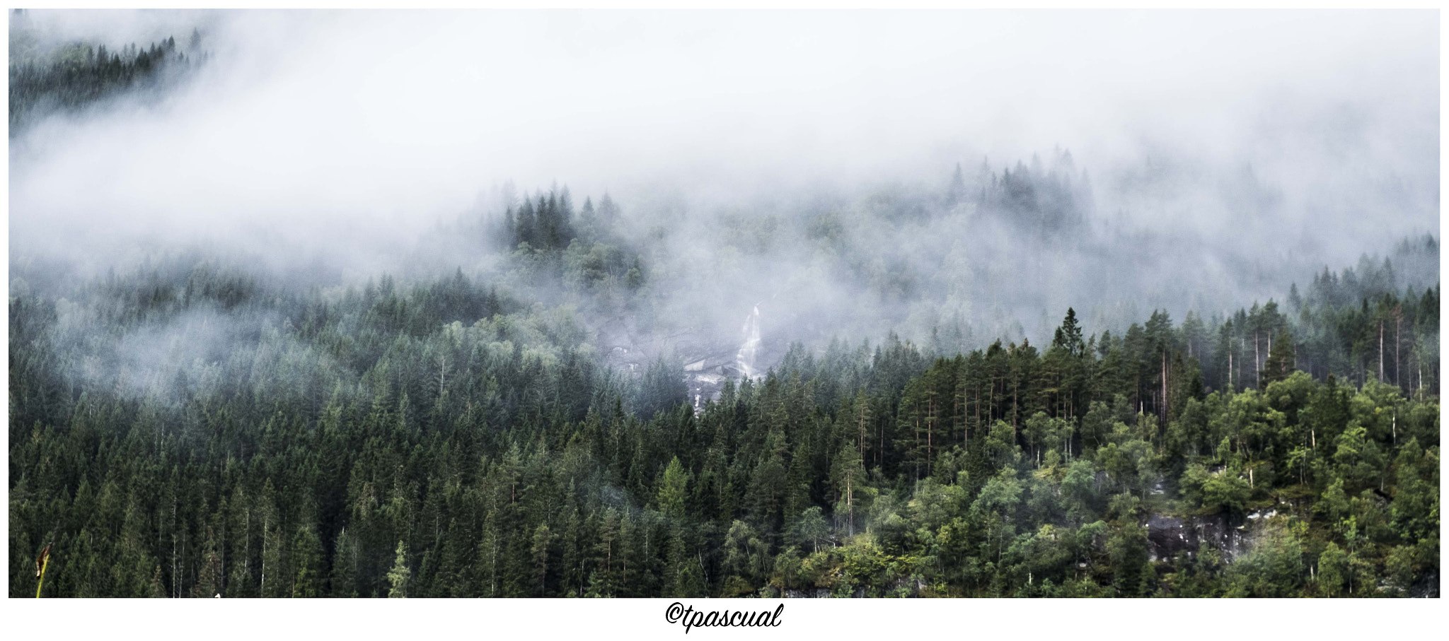 Fujifilm X-E2S + Fujifilm XF 18-55mm F2.8-4 R LM OIS sample photo. Bosque noruego photography