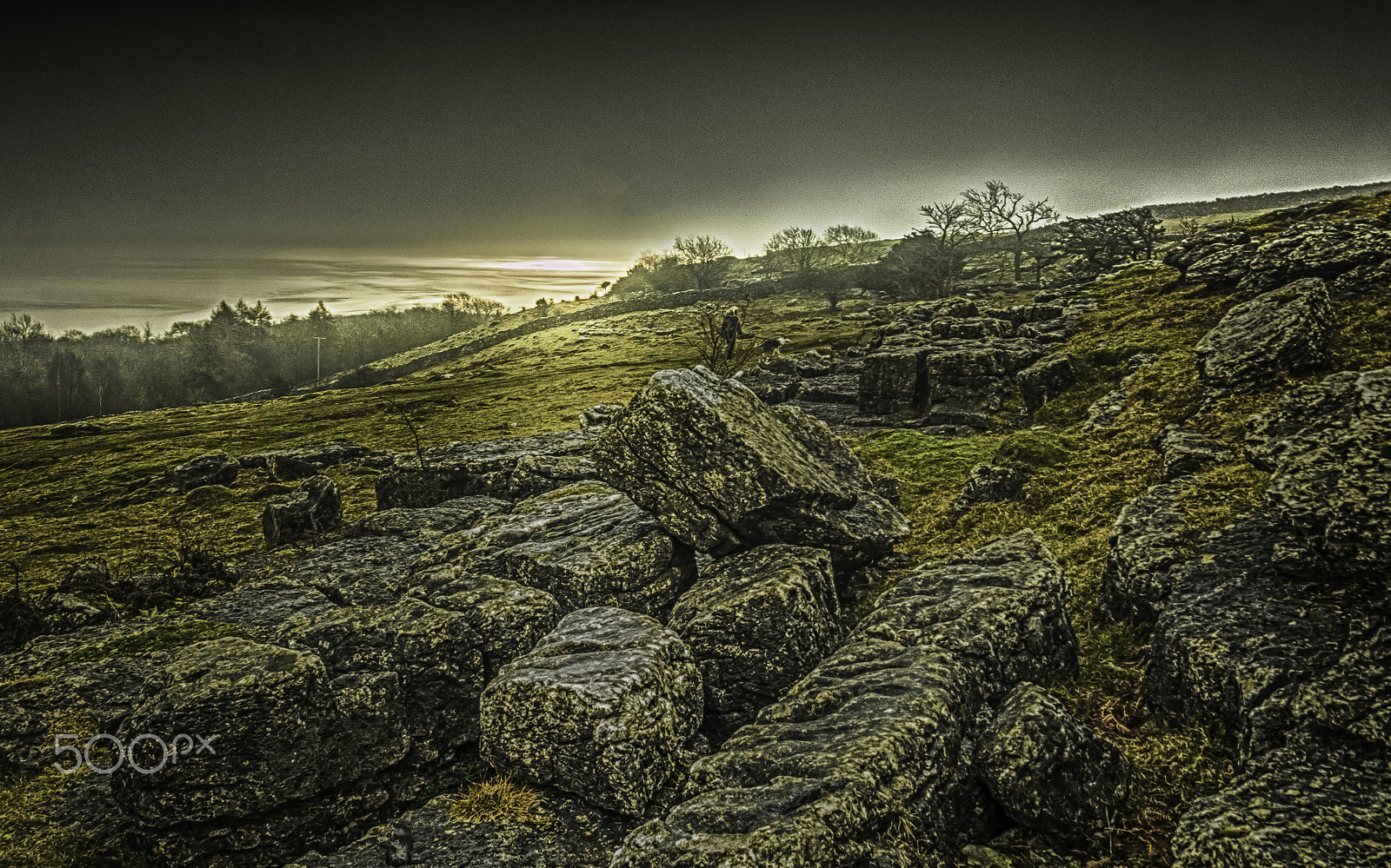 Panasonic Lumix DMC-G7 sample photo. Up on the hills near hampsfell hospice photography