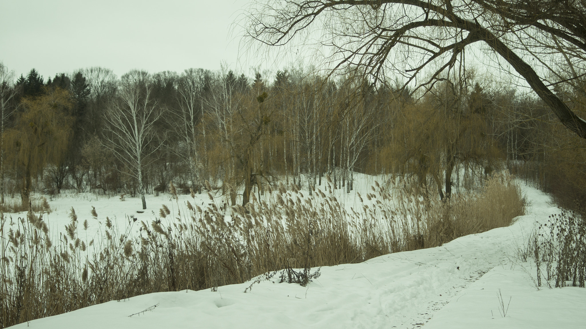 Sony SLT-A55 (SLT-A55V) sample photo. Poltava city park photography