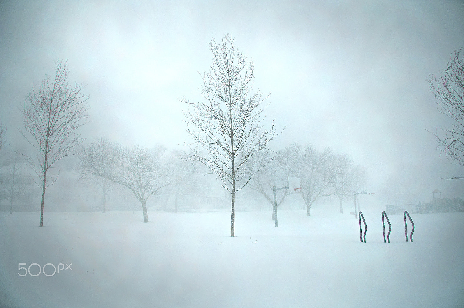 Sigma 28-300mm F3.5-6.3 DG Macro sample photo. Blizzard photography