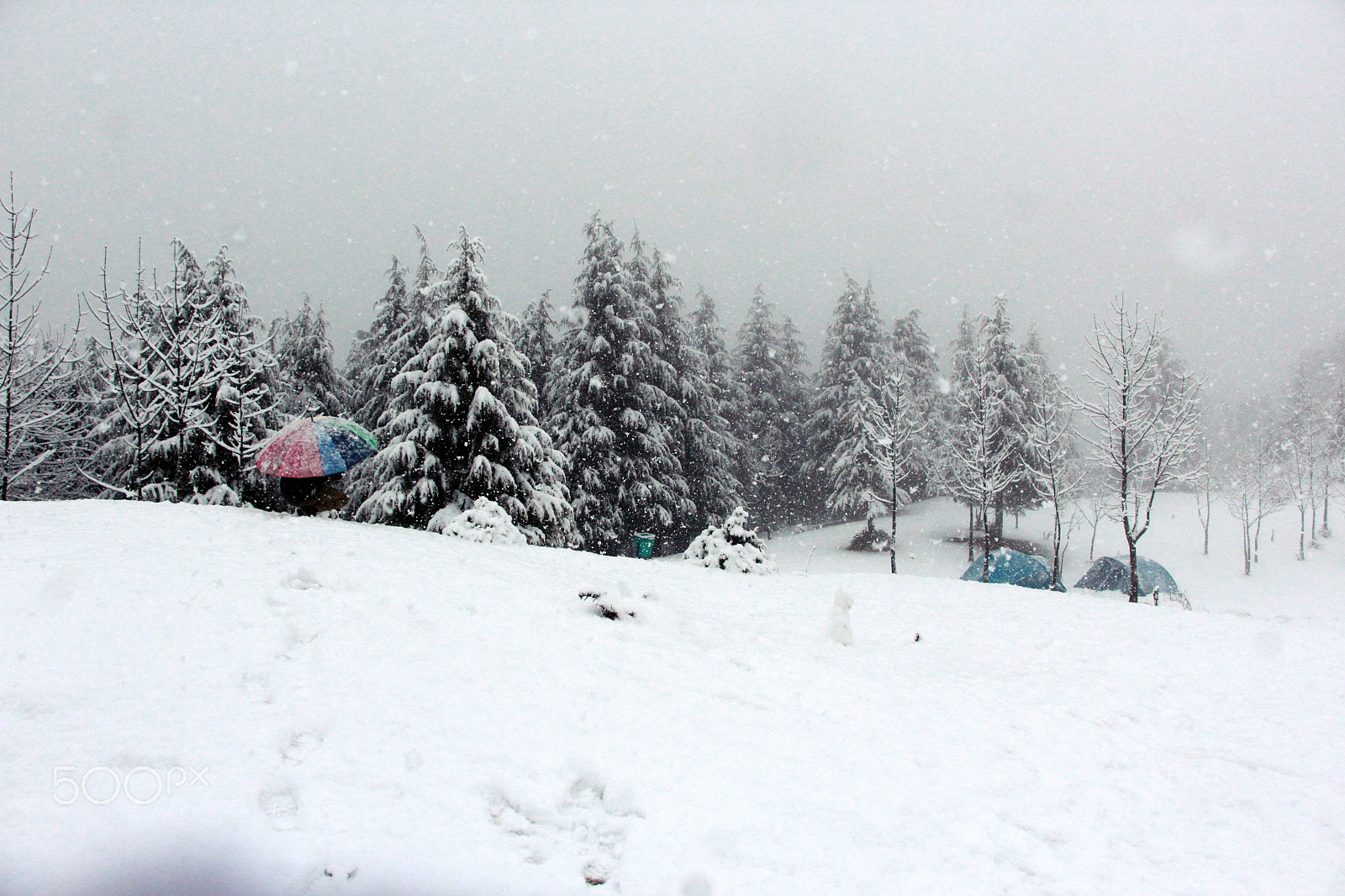 Canon EOS 1200D (EOS Rebel T5 / EOS Kiss X70 / EOS Hi) sample photo. As the snow was falling down !!! photography