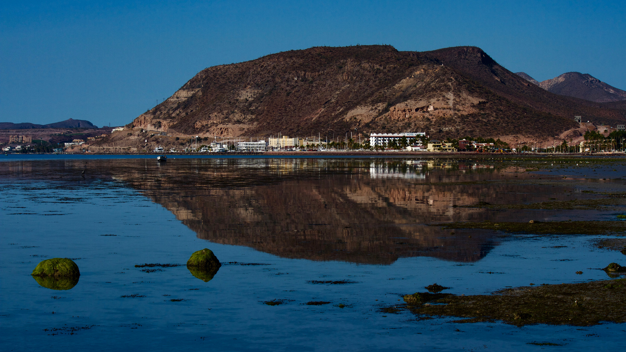 Canon EF-S 55-250mm F4-5.6 IS II sample photo. Calavera photography
