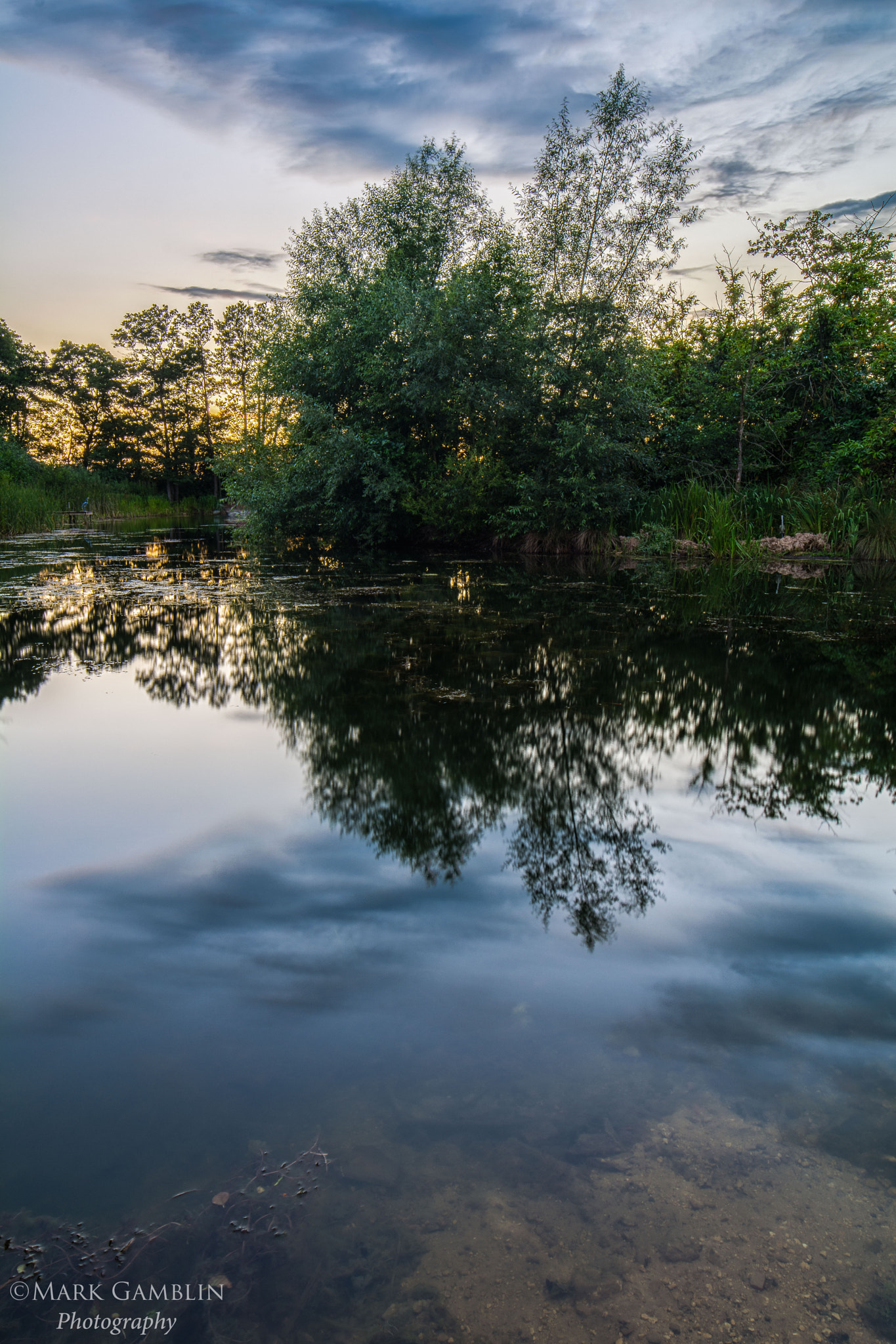 Samyang 14mm F2.8 ED AS IF UMC sample photo. Natures symmetry photography