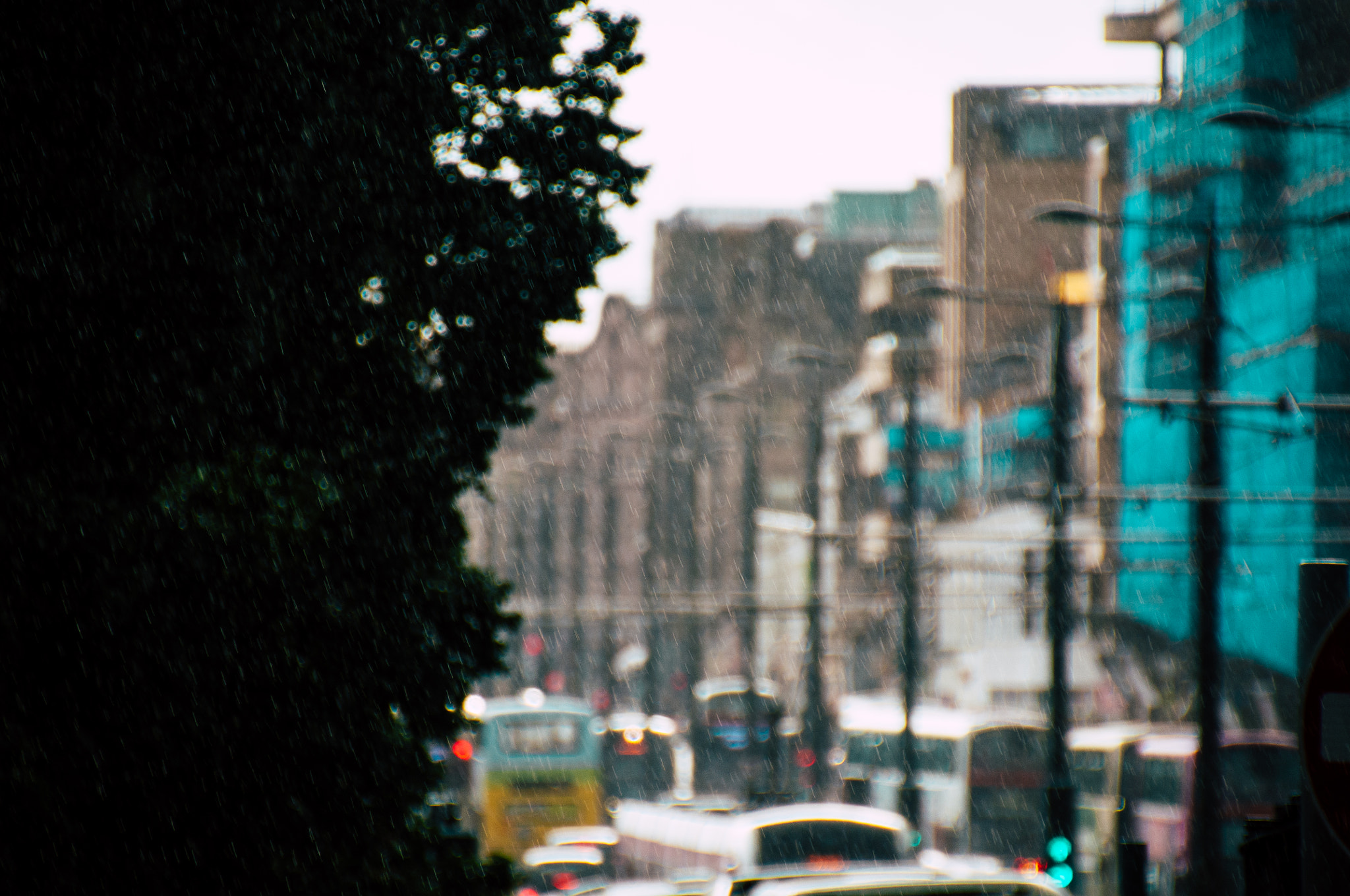 Nikon D300 sample photo. Rain photography