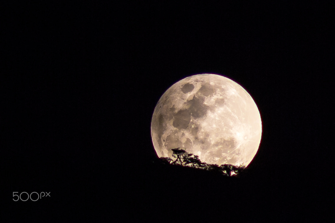 Canon EF 75-300mm f/4-5.6 USM sample photo. Eclipse photography