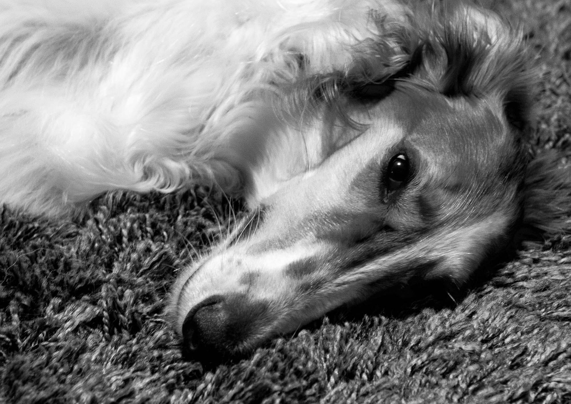 Canon EF 17-40mm F4L USM sample photo. Borisclose photography