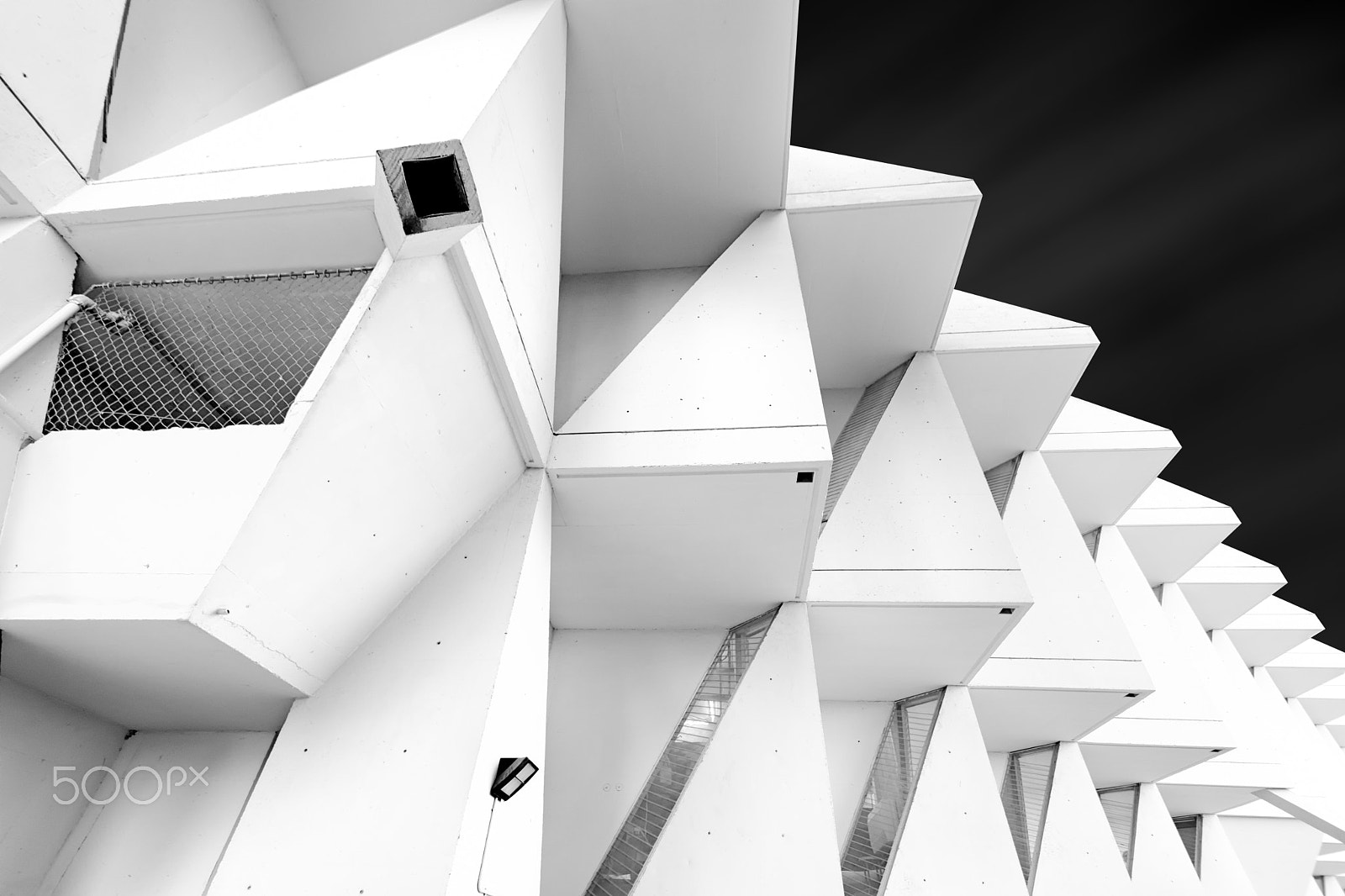 Nikon D500 sample photo. Repetition photography