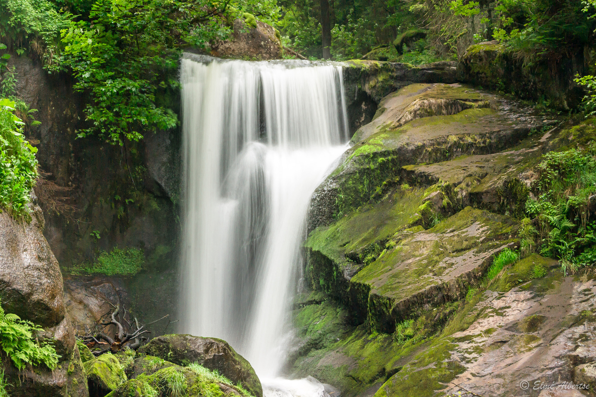 Sony Alpha DSLR-A500 + Sony DT 18-55mm F3.5-5.6 SAM sample photo. Triberg waterfall ii photography