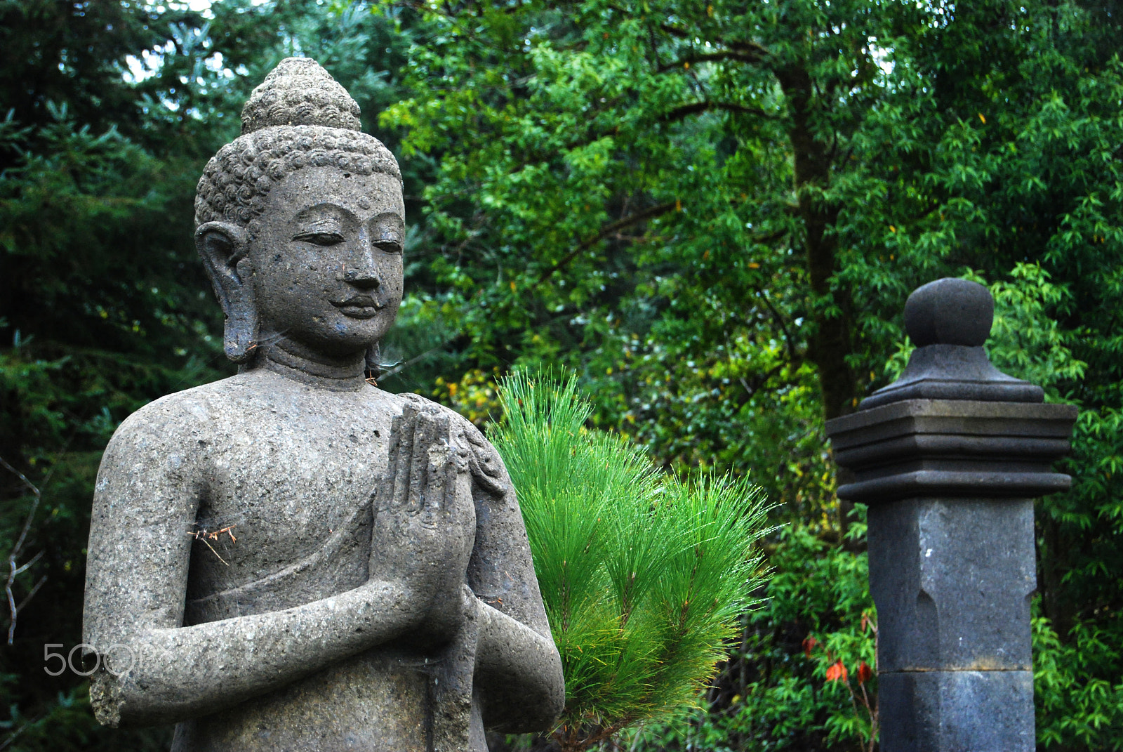 Nikon D80 sample photo. Springtime buddha photography