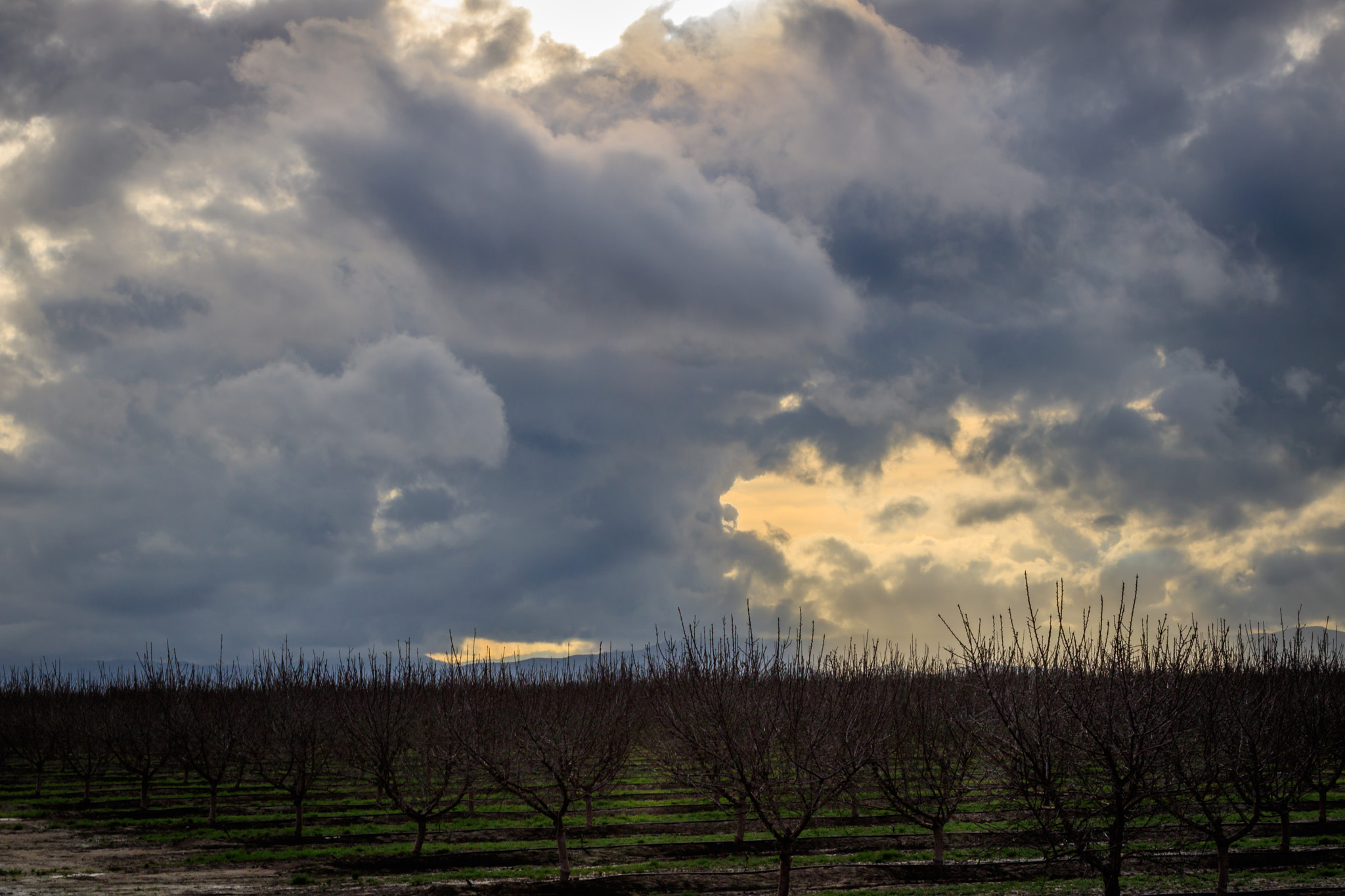 Canon EOS 760D (EOS Rebel T6s / EOS 8000D) sample photo. Sun after the storm photography