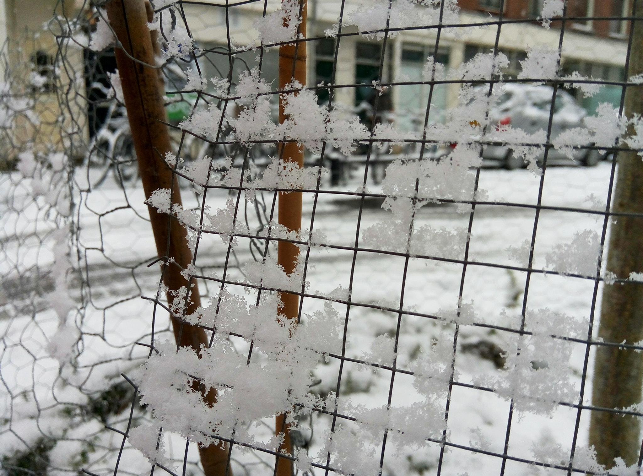 Meizu m1 note sample photo. Snowing photography