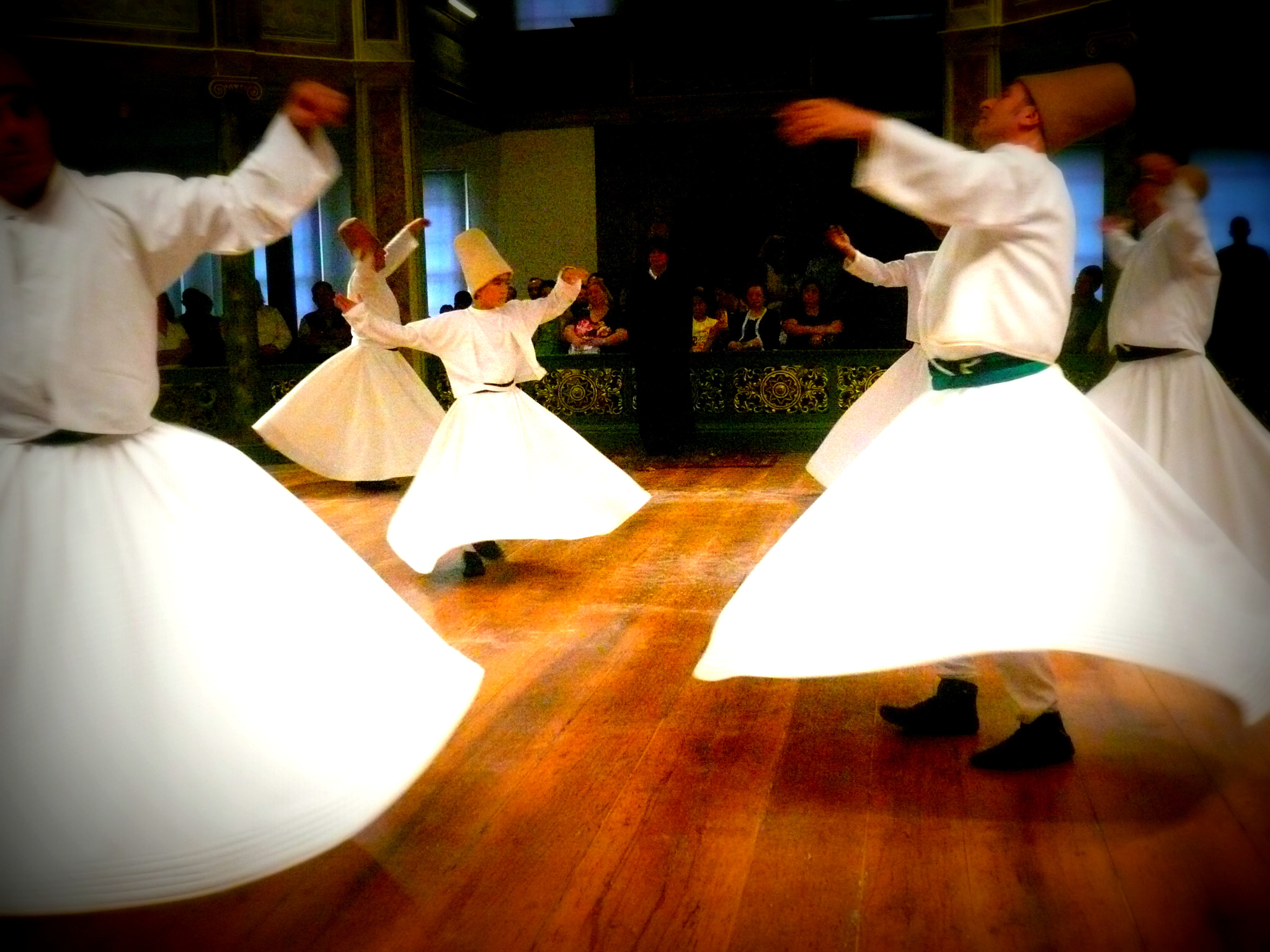 Panasonic DMC-FX100 sample photo. Whirling dervishes photography