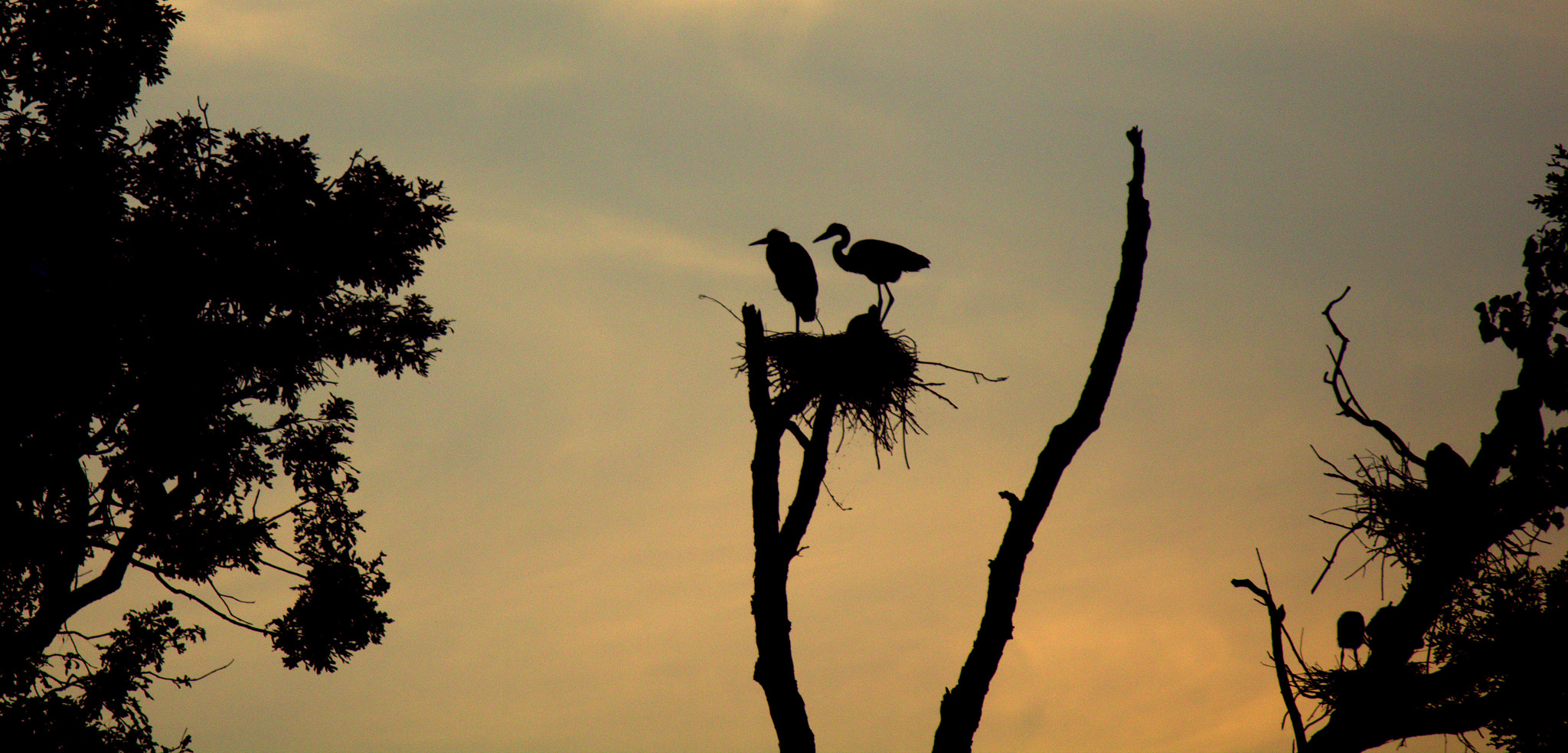 Canon EF-S 55-250mm F4-5.6 IS sample photo. Silhouettes photography