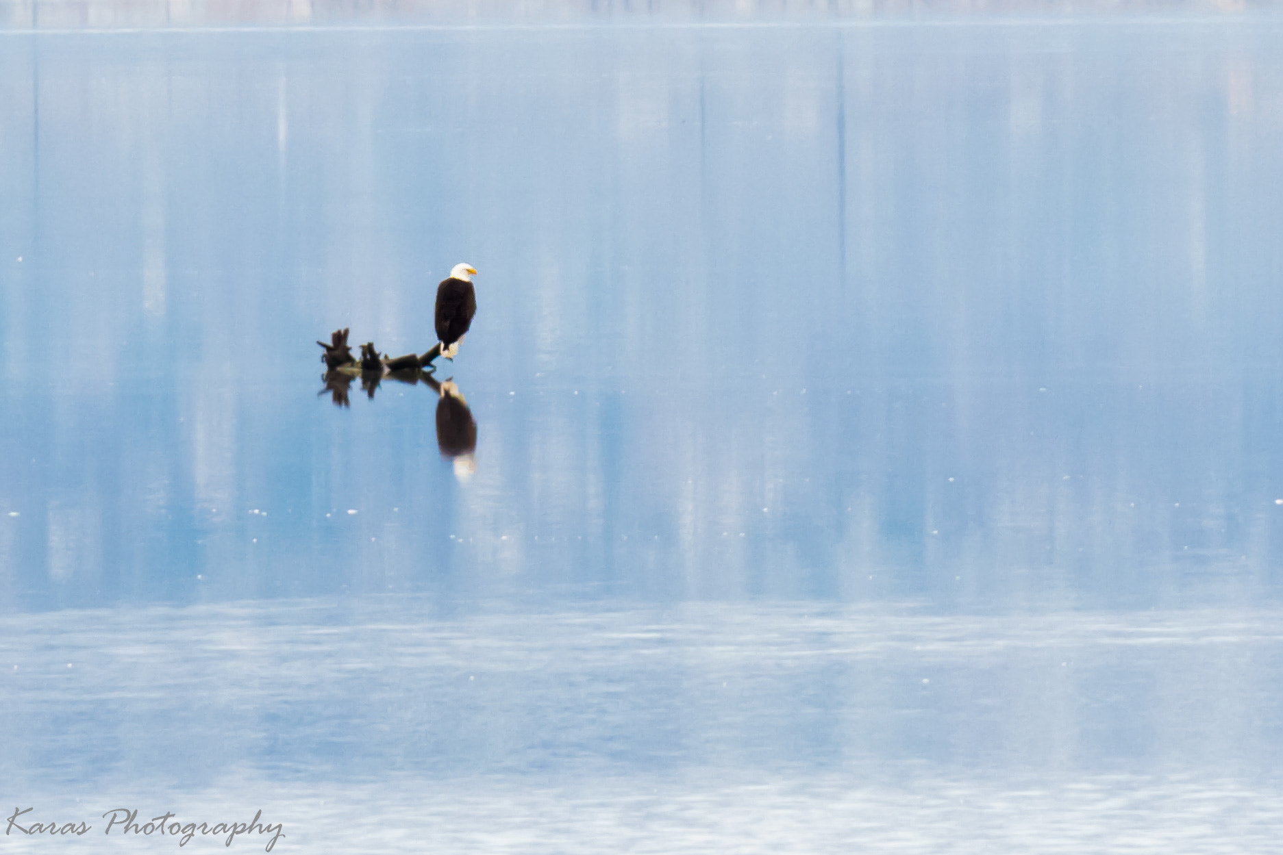 Canon EF-S 55-250mm F4-5.6 IS II sample photo. (of ) photography