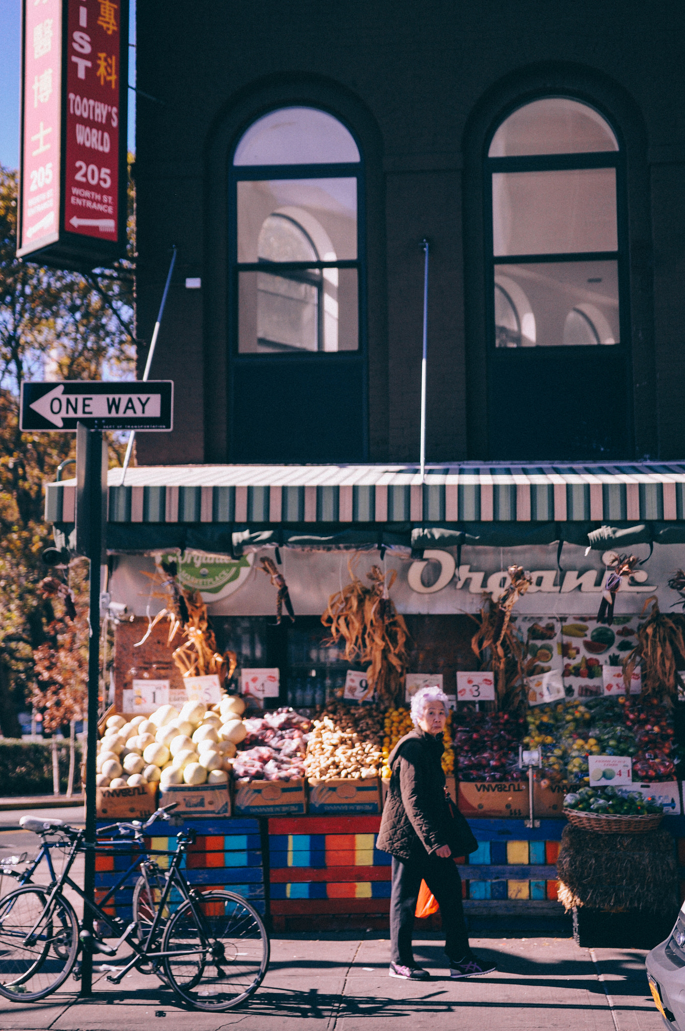 Nikon D90 + Sigma 18-35mm F1.8 DC HSM Art sample photo. Chinatown in ny photography