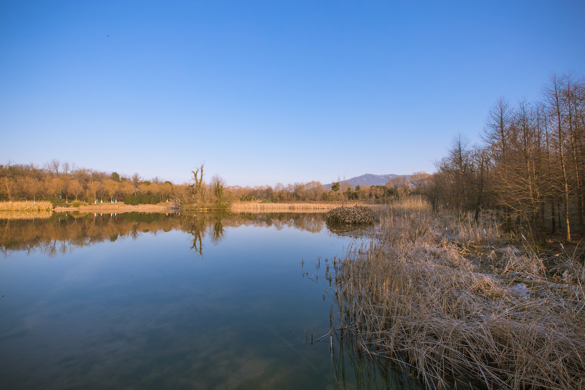 Canon EF 16-35mm F2.8L II USM sample photo. Plum blossoms valley photography