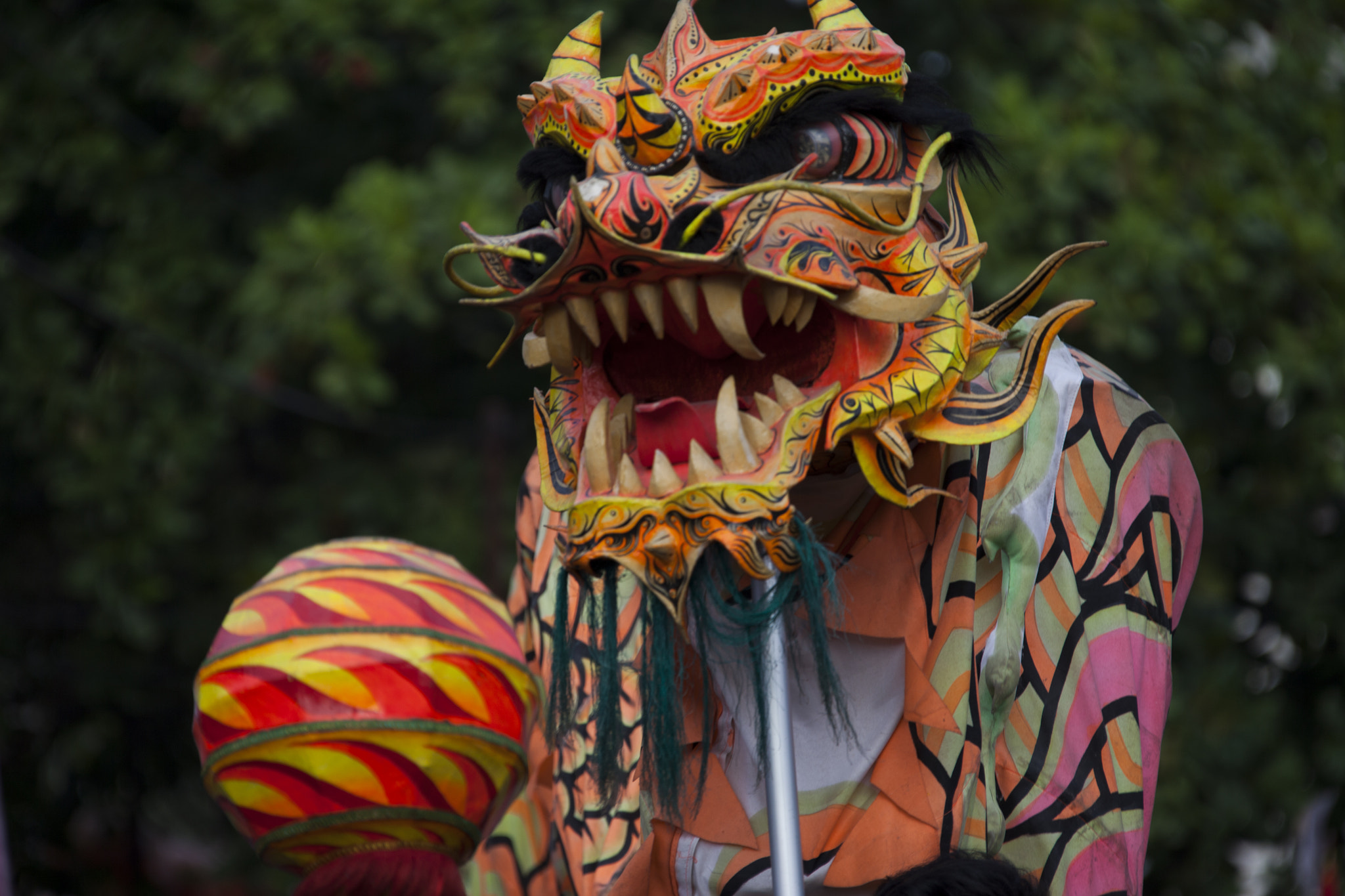 Canon EF 28-300mm F3.5-5.6L IS USM sample photo. The dragon photography