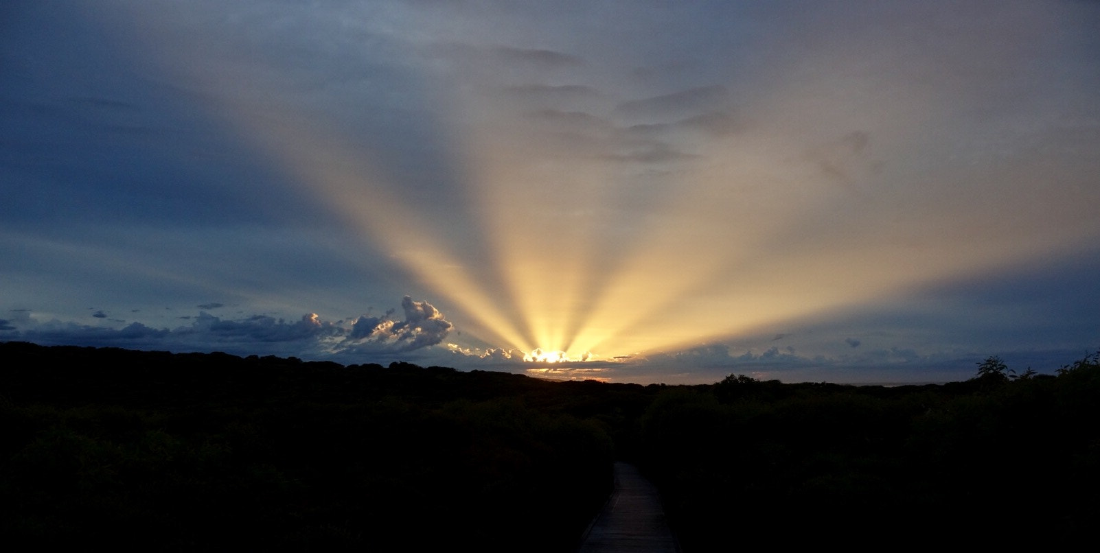 Sony 24-600mm F2.4-4.0 sample photo. Southern australian sunrise photography