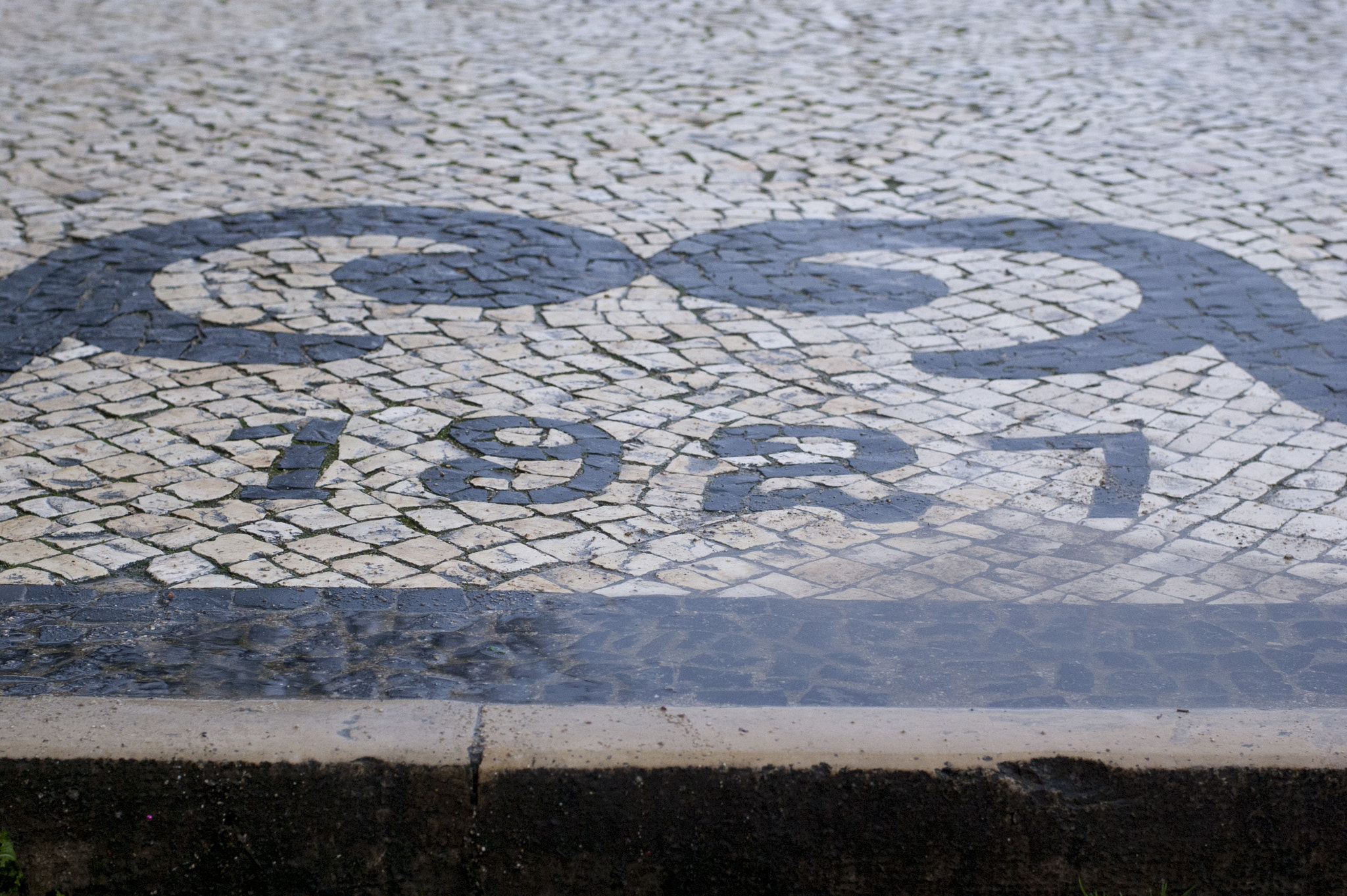 Nikon D40 + Nikon AF-S Nikkor 50mm F1.8G sample photo. Lisbon photography