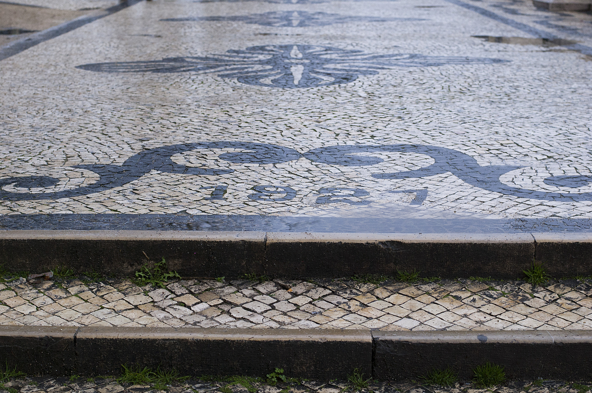 Nikon D40 + Nikon AF-S Nikkor 50mm F1.8G sample photo. Lisbon photography