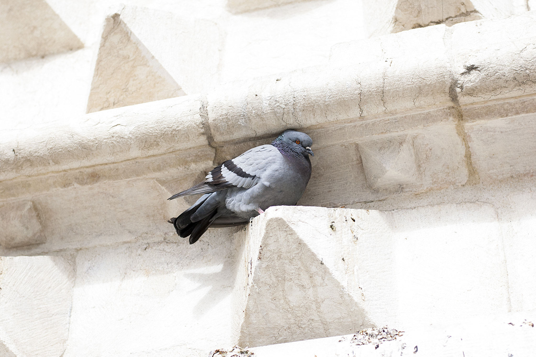 Nikon D40 + Nikon AF-S Nikkor 50mm F1.8G sample photo. Lisbon photography