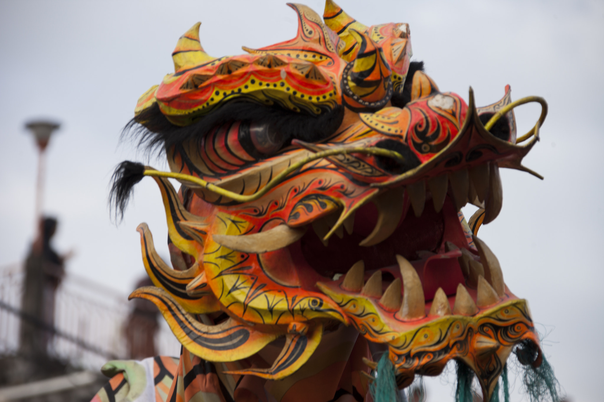 Canon EF 28-300mm F3.5-5.6L IS USM sample photo. The dragon photography