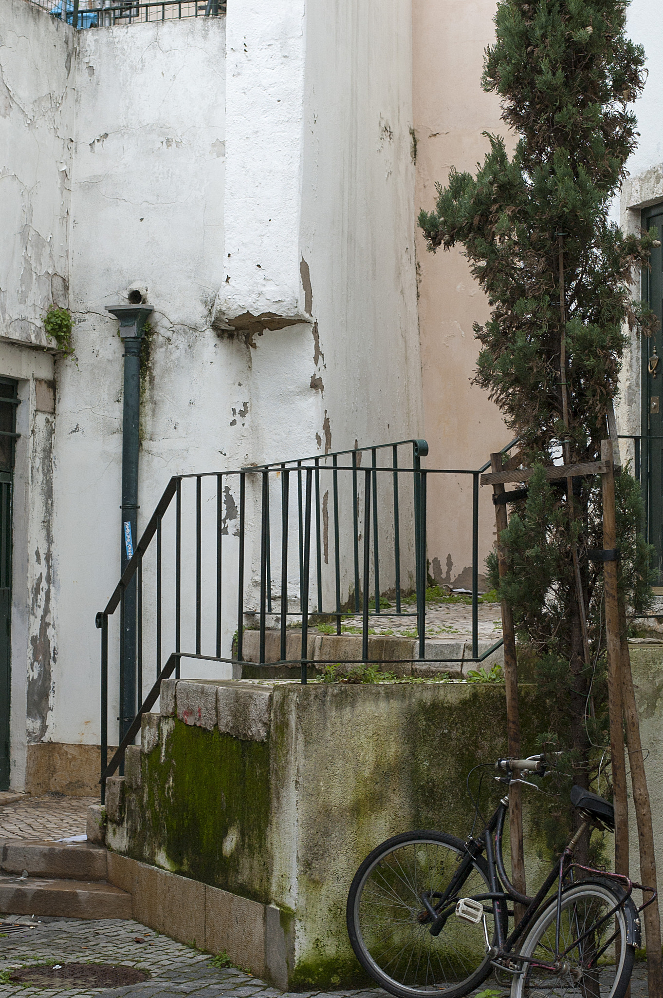 Nikon D40 + Nikon AF-S Nikkor 50mm F1.8G sample photo. Lisbon photography